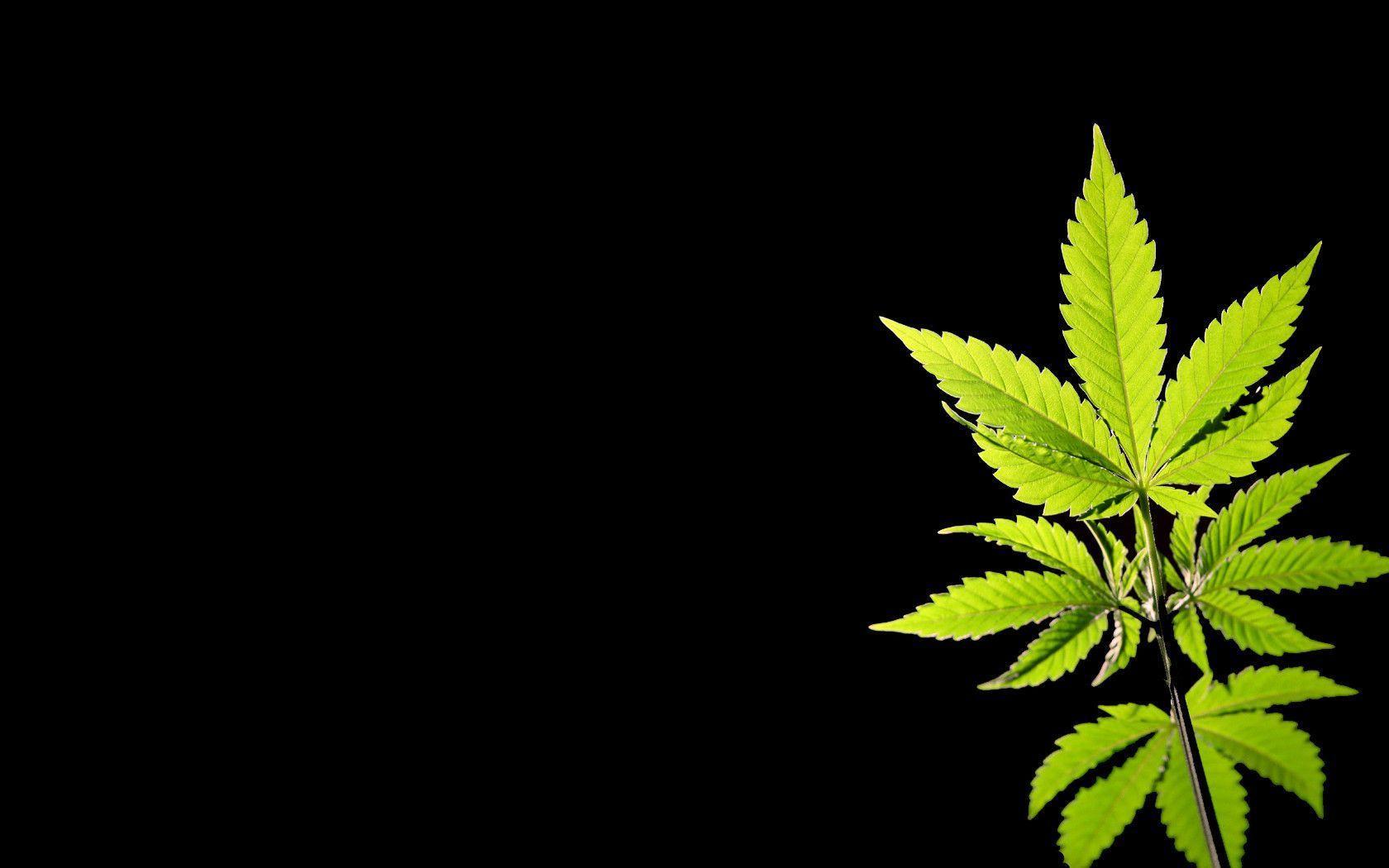 weed wallpaper hd