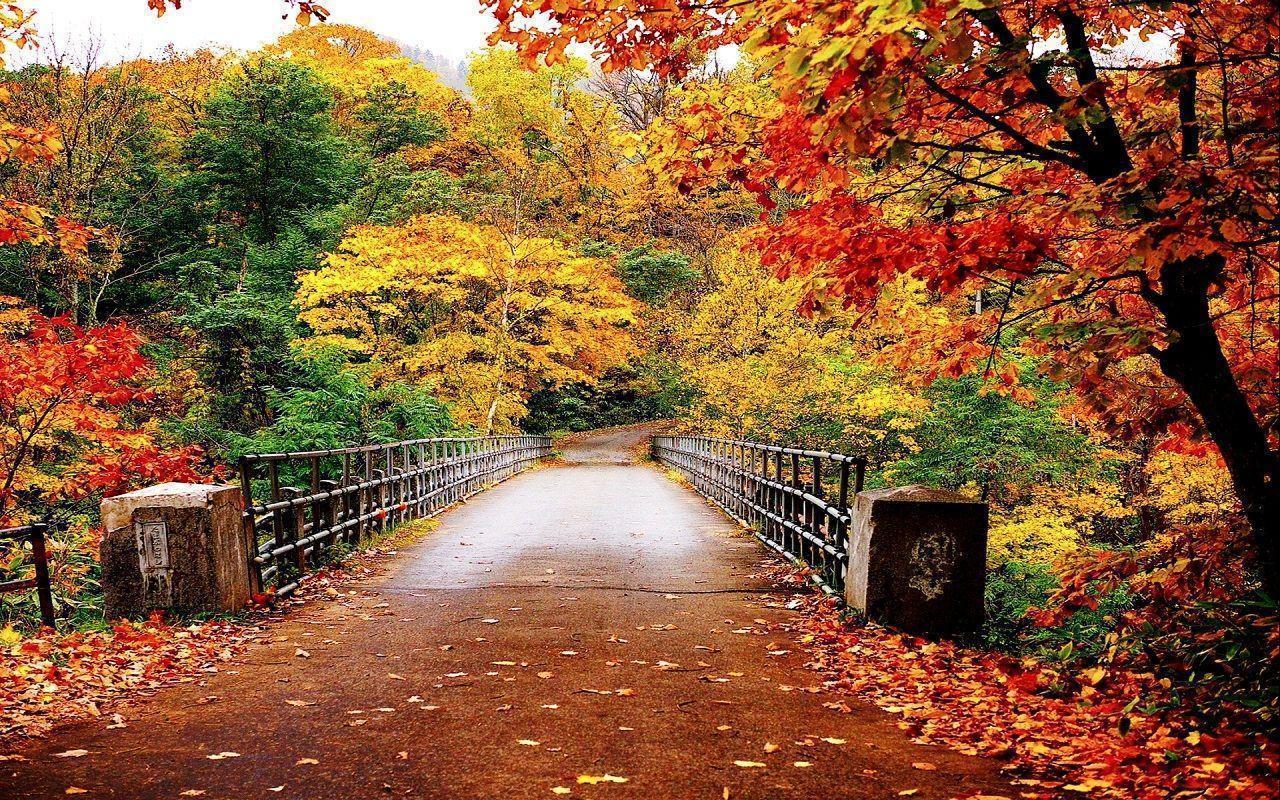 Bridge Autumn Wallpaper Picture Wallpaper. High Resolution