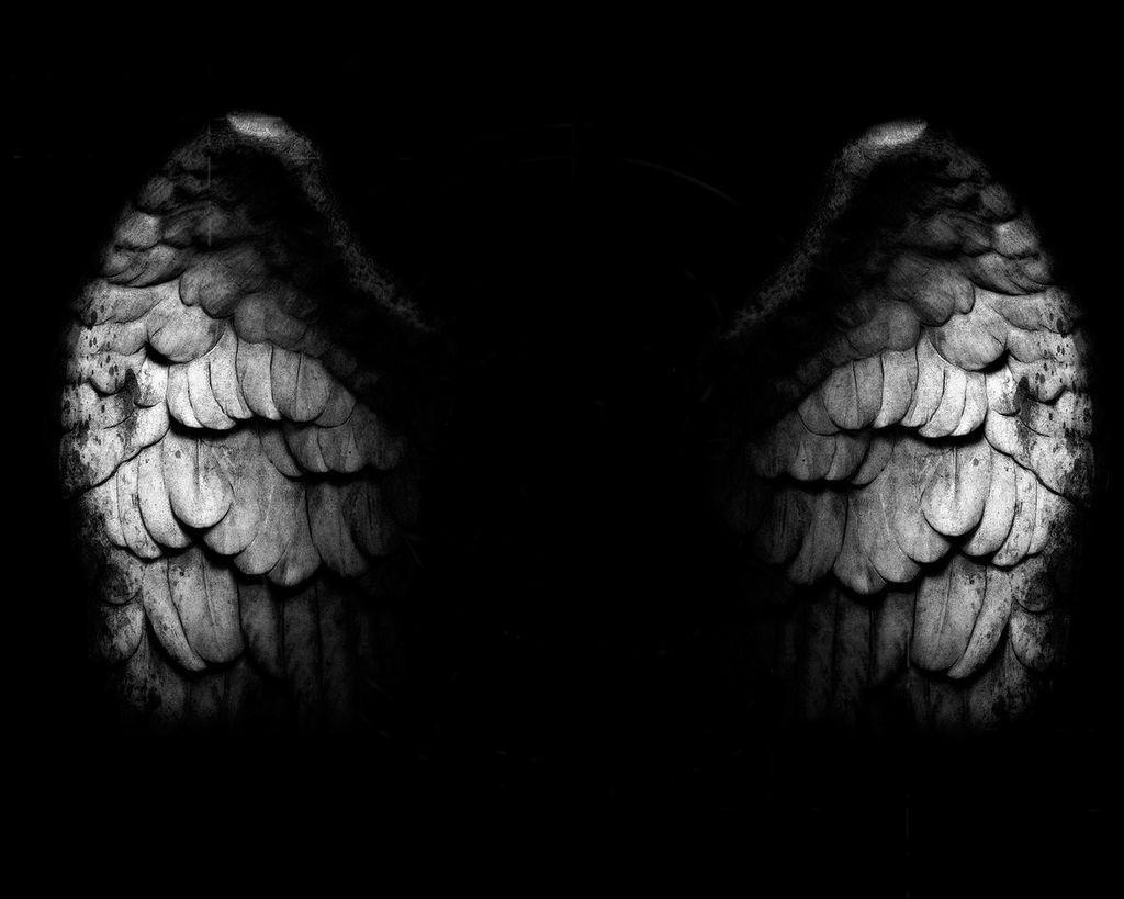 Angel Wings Backgrounds - Wallpaper Cave