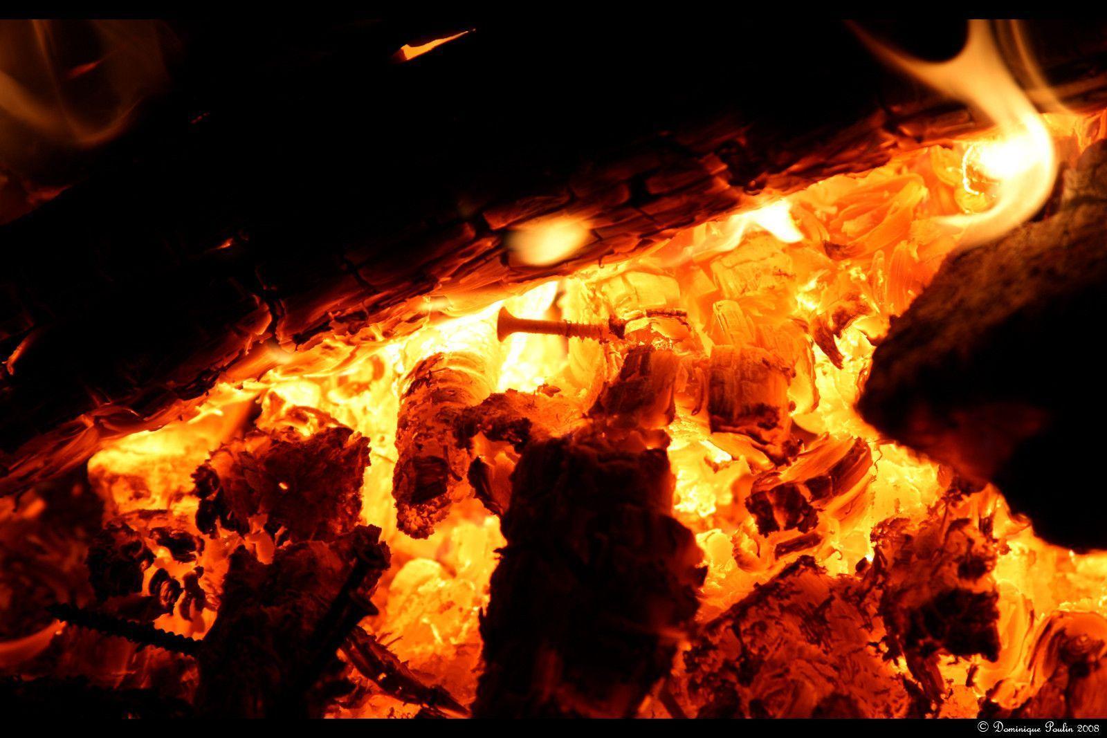 Wallpaper For > Fire Background HD Png