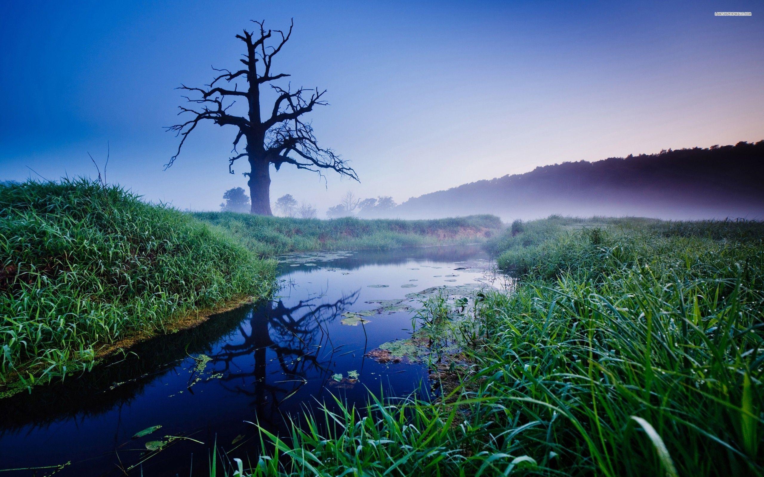 Pond Wallpapers - Wallpaper Cave