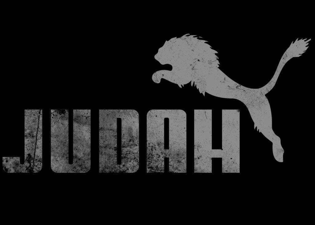 Puma Style Lion Of Judah HD Wallpaper