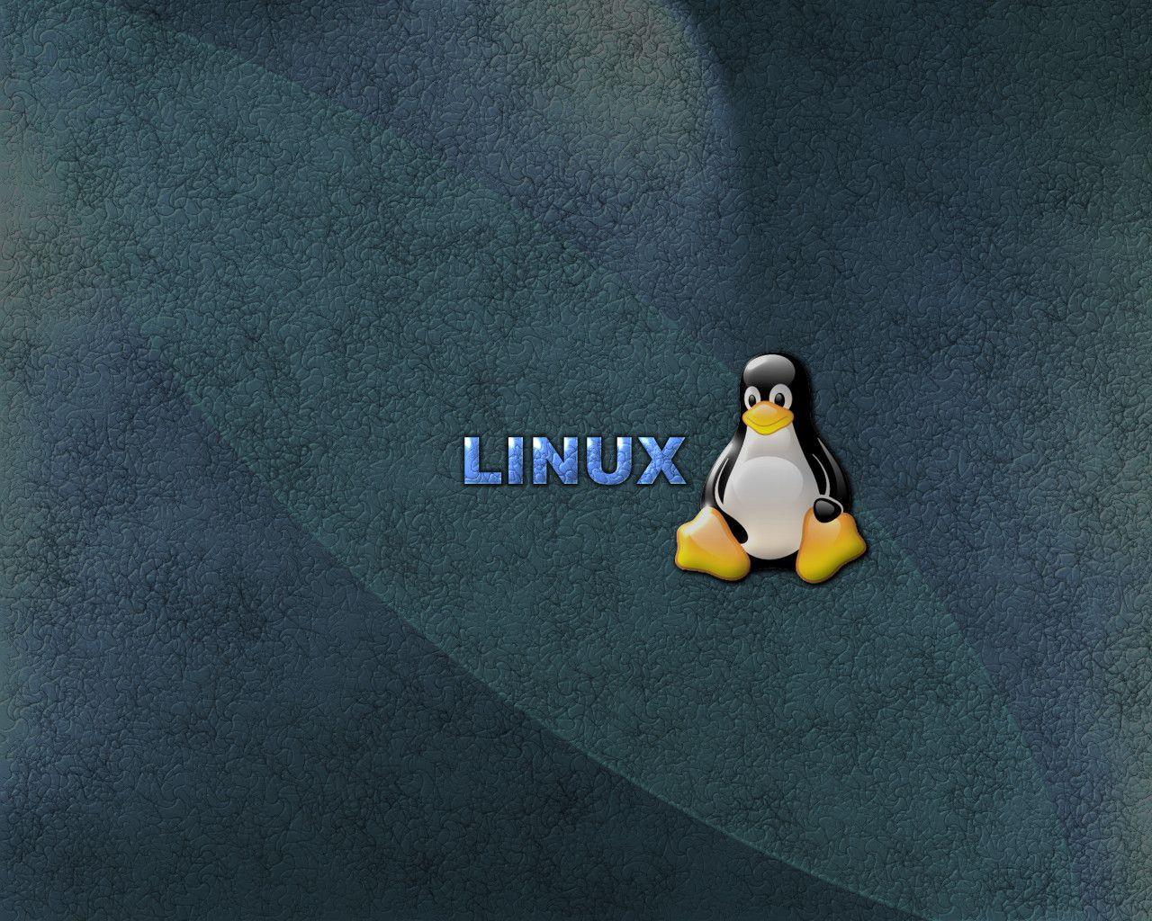 Linux and Tux in Blue
