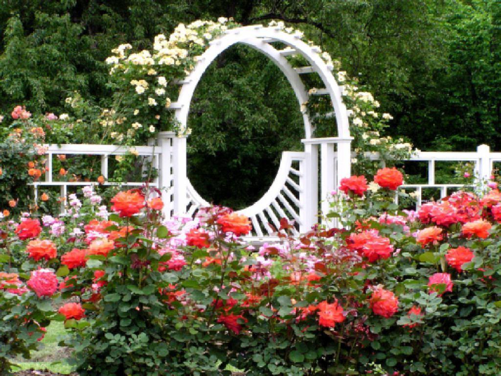 Beautiful Rose Garden Wallpaper Ideas Design 511666 Decorating