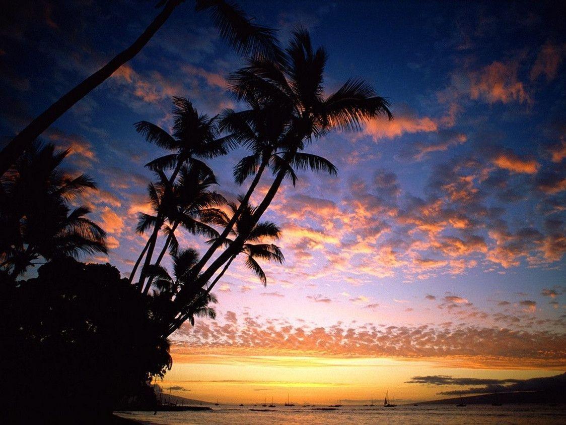 Free Download free download hawaii tropical islands widescreen