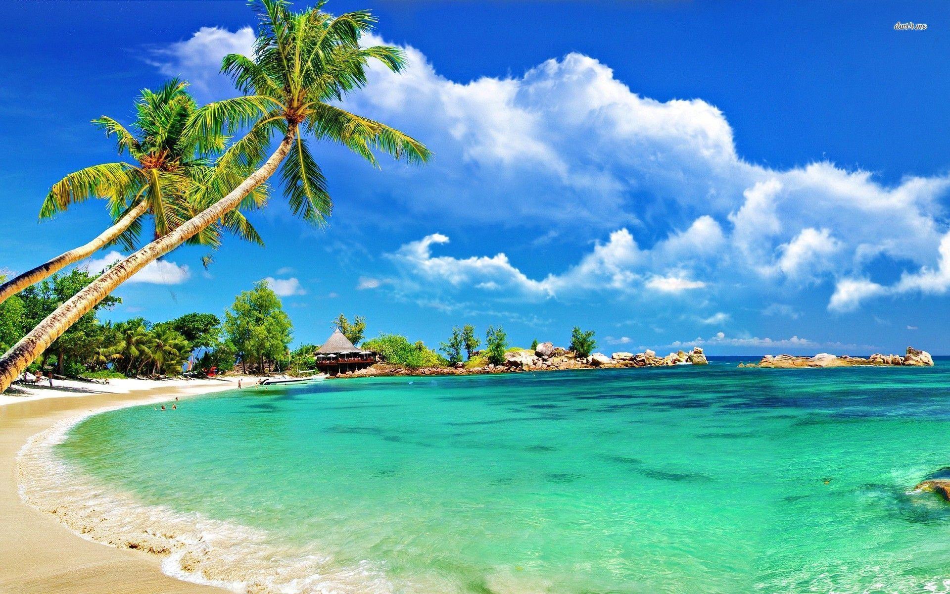 Tropical Beach Wallpapers Desktop Wallpaper Cave