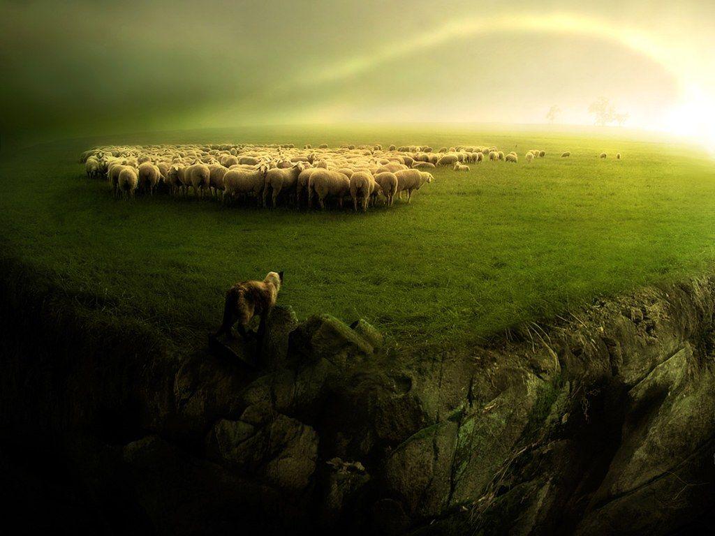 Grazing at the End of the World Wallpaper Wallpaper 2813