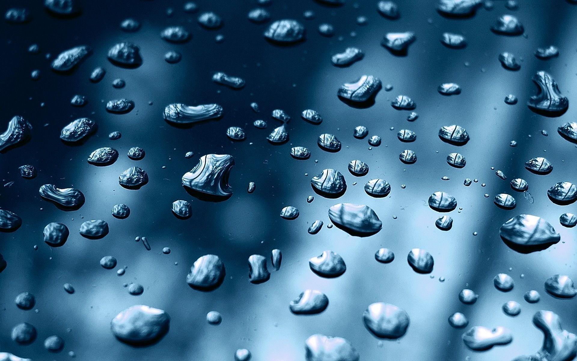 Water Wallpaper Hd: Water Droplets Wallpaper Macro Download Free