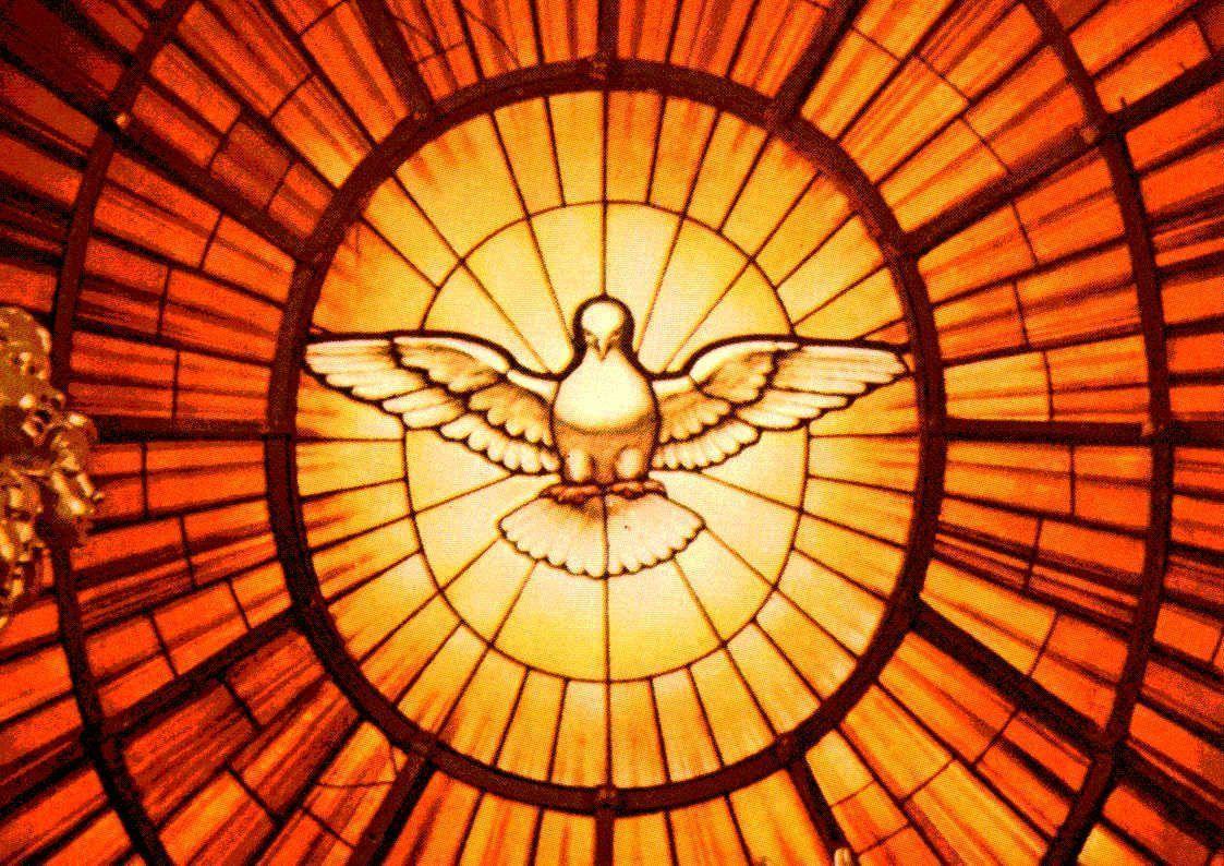 image For > Pentecost Dove