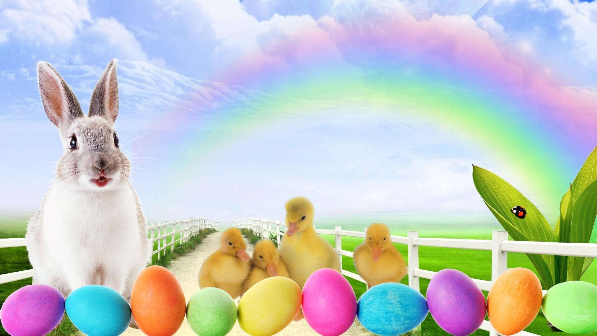 Bunnies at easter 3d screensavers download free : ligmimoot