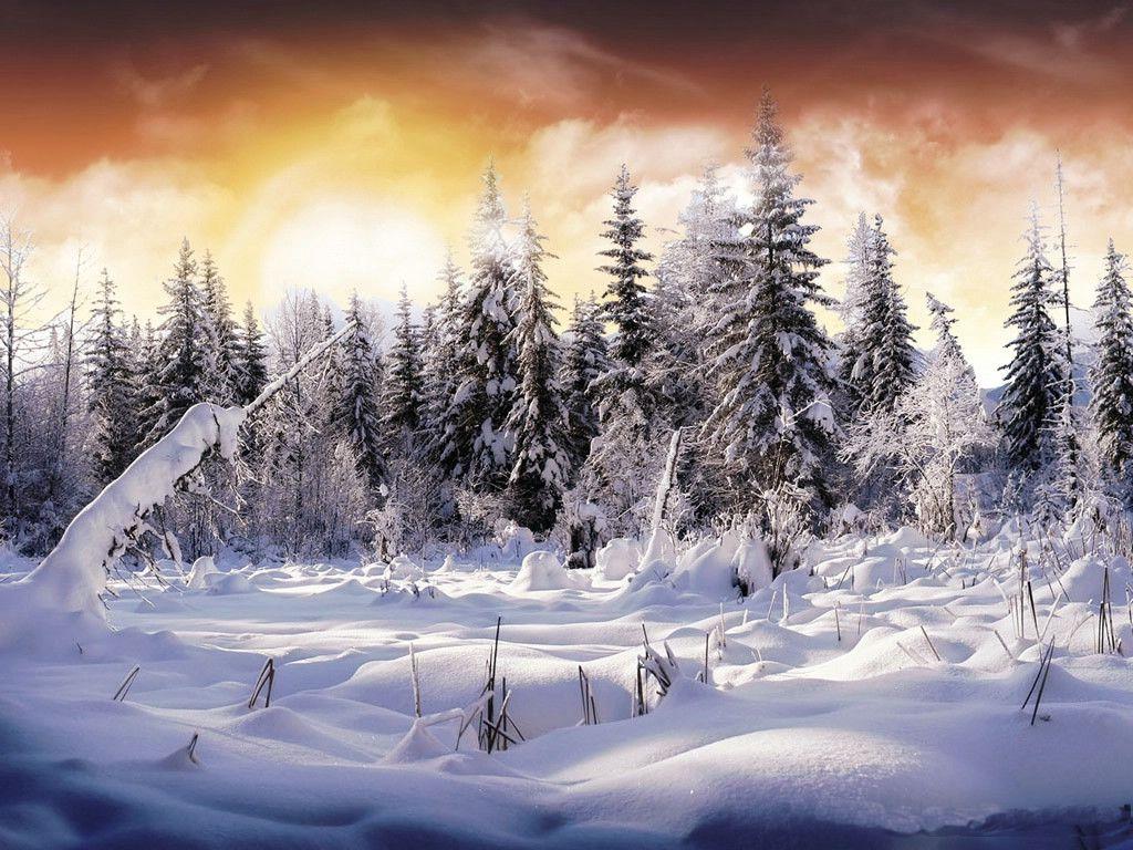 Desktop Wallpaper Snow Scenes