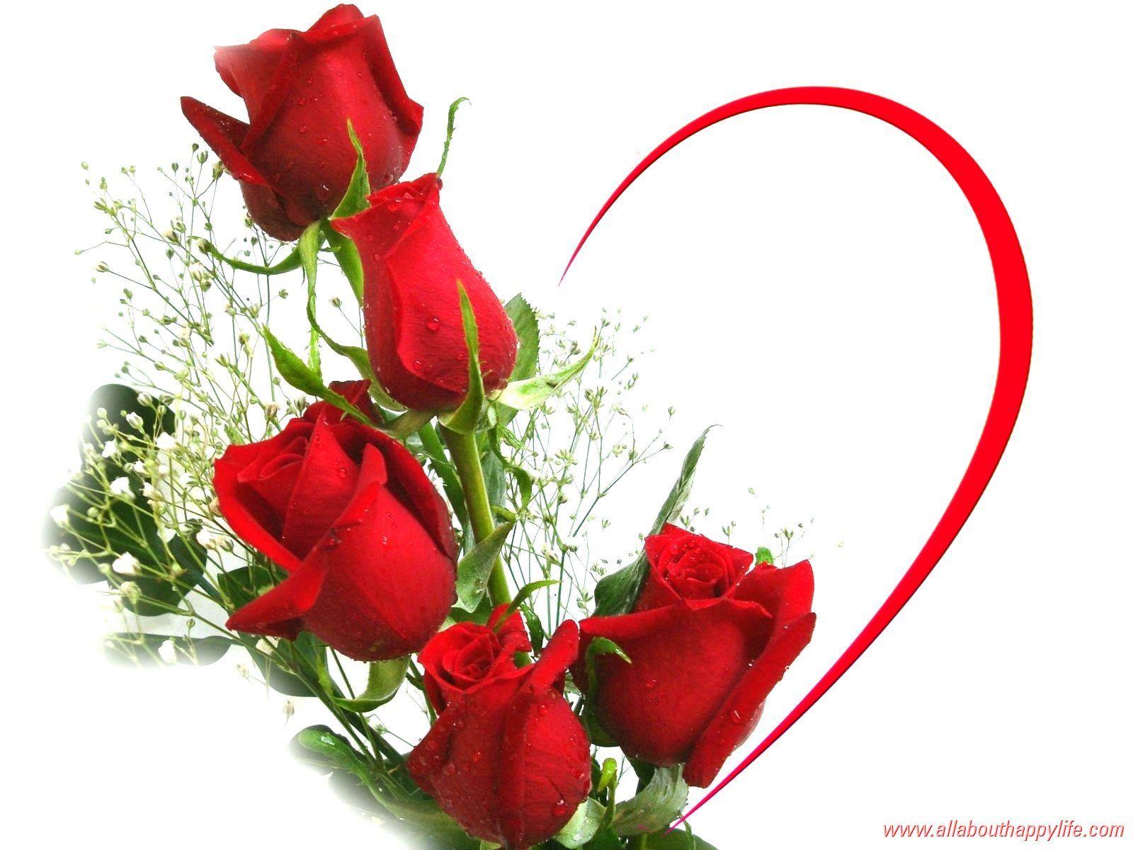 Red Rose Love Quality Wallpaper. High Quality Wallpaper