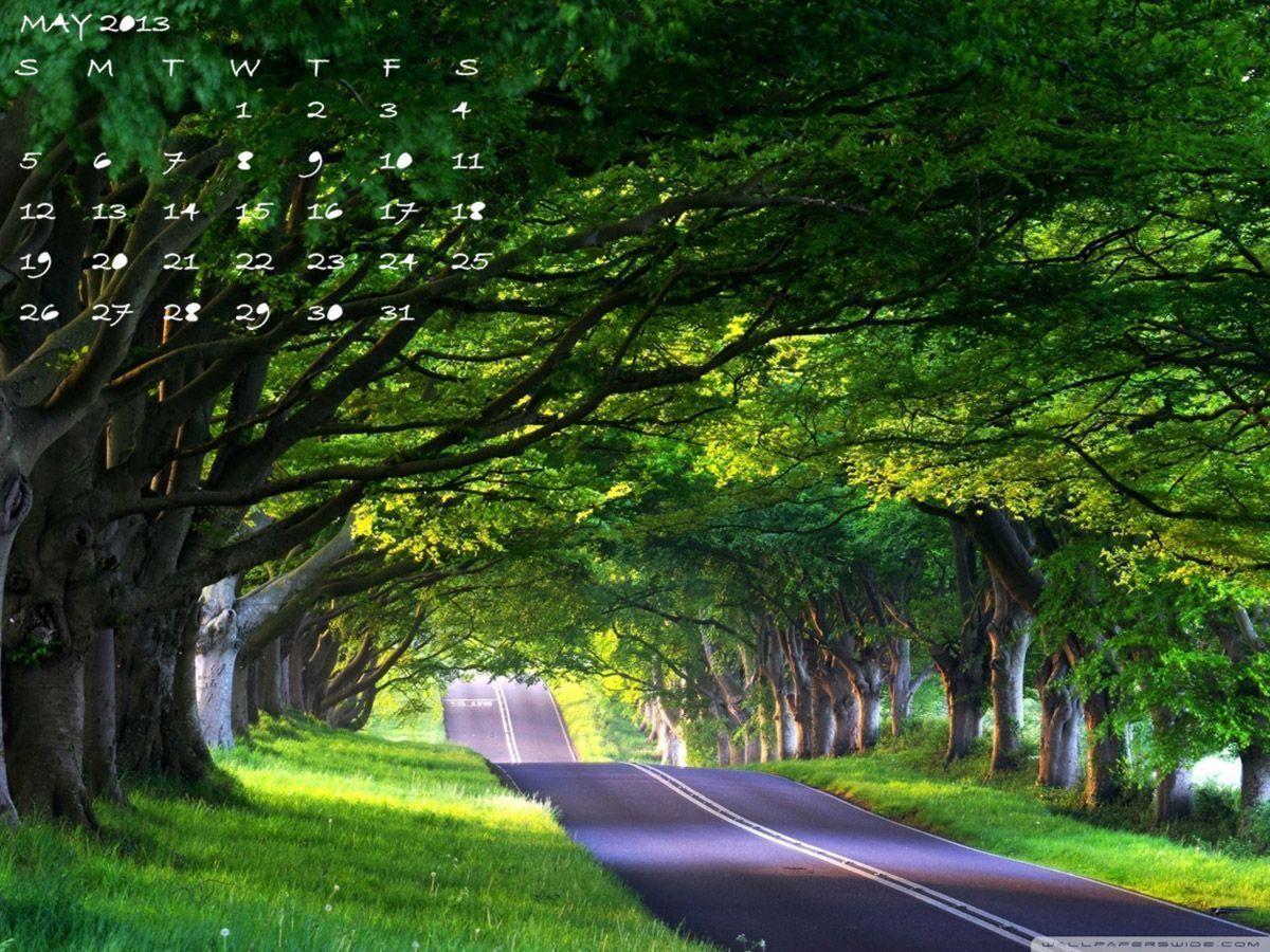 Summer Holidays May 2013 Calendar Wallpaper