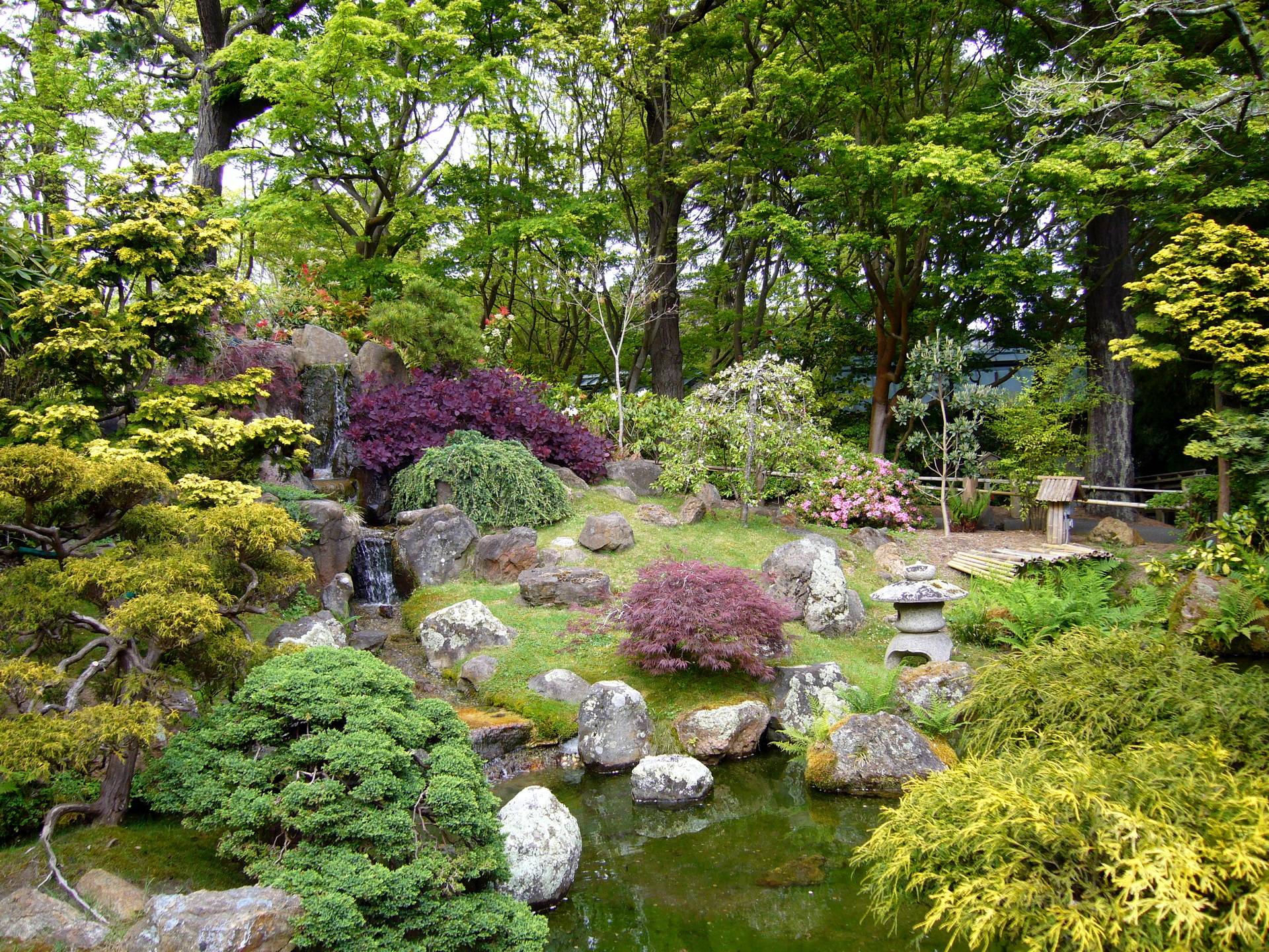 Wallpaper Gardens Japanese Nature, free desktop photo 310396