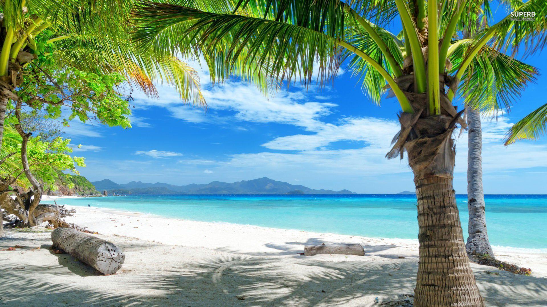 Tropical Beach. Download HD Wallpaper