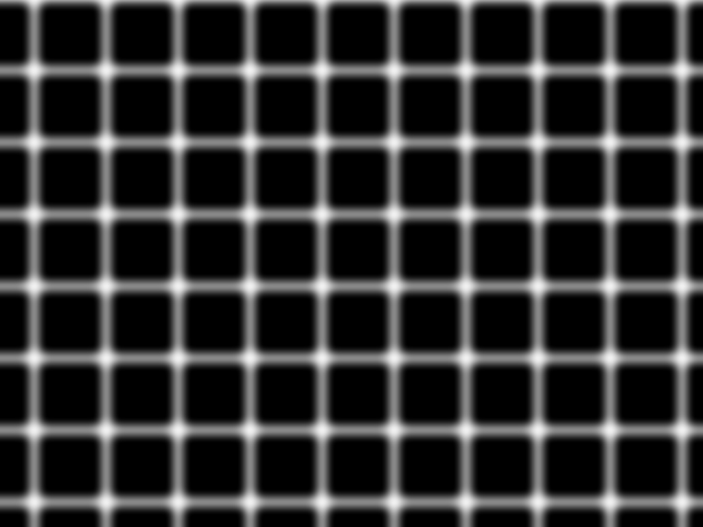 Bergen&;s illusion (Bergen grid illusion)