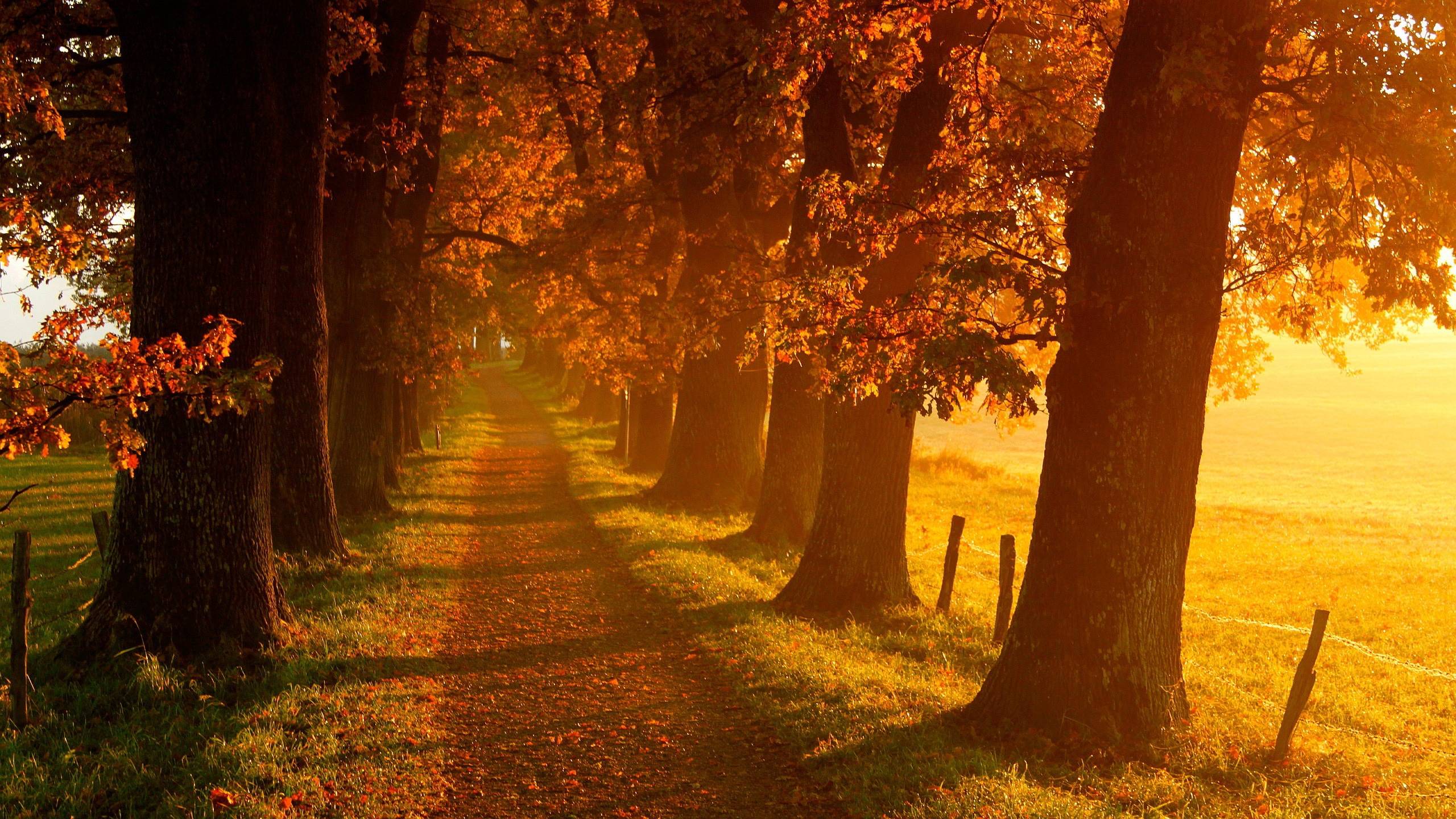 3840x1080 wallpaper autumn