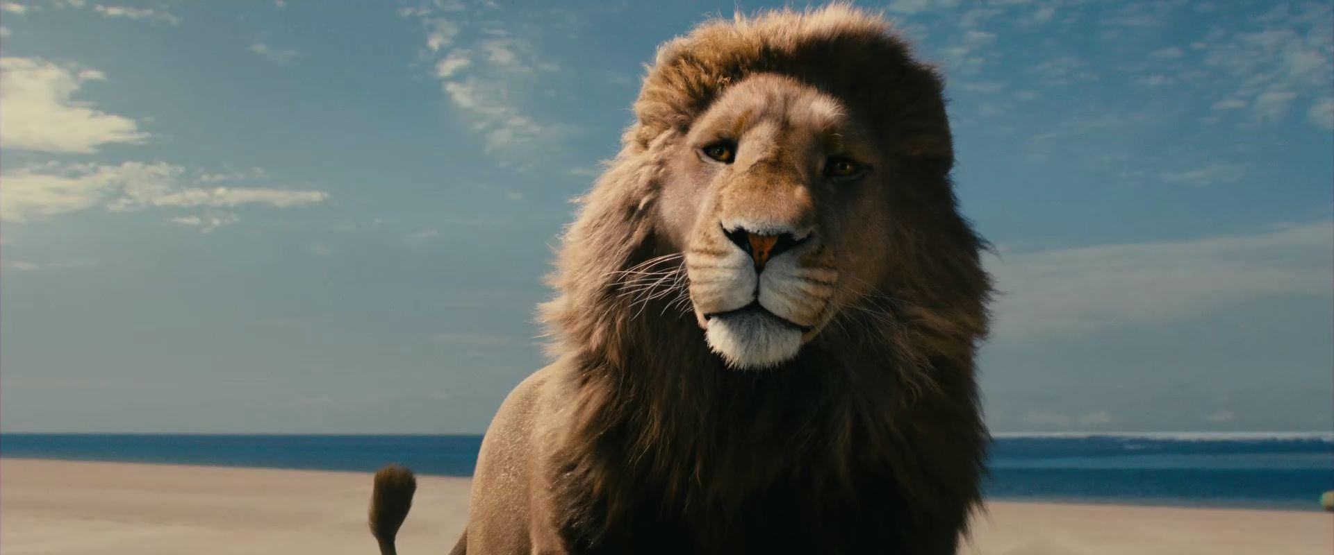 Aslan the Lion from the Movie The Chronicles of Narnia Voyage