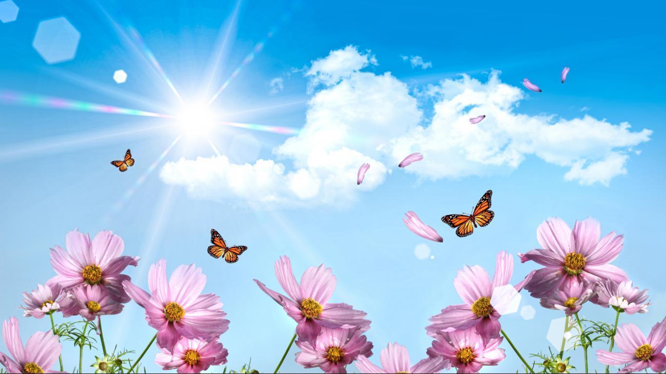 Surrealism Flower Wallpaper Image 1366x768 For 17 19 Inch