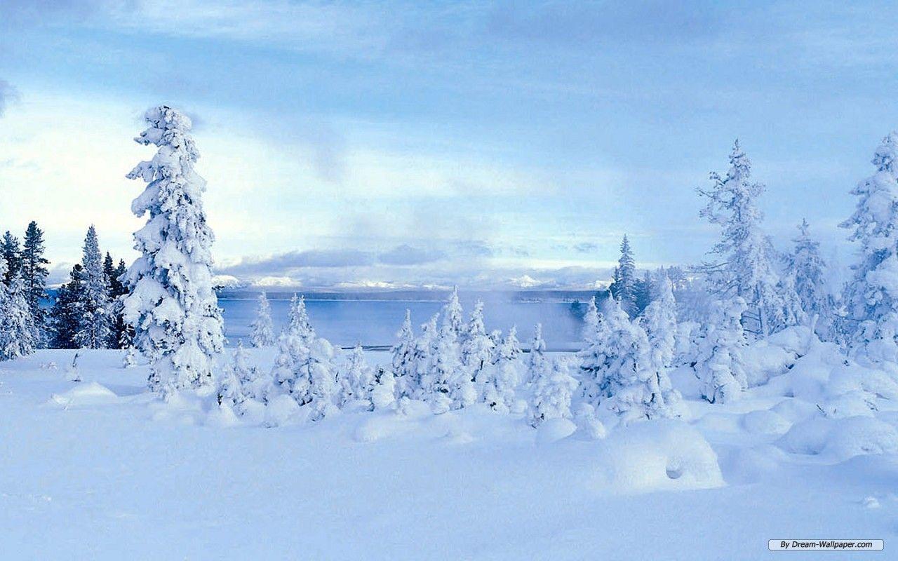 Winter Wonderland Wallpaper HD Wallpaper Nature