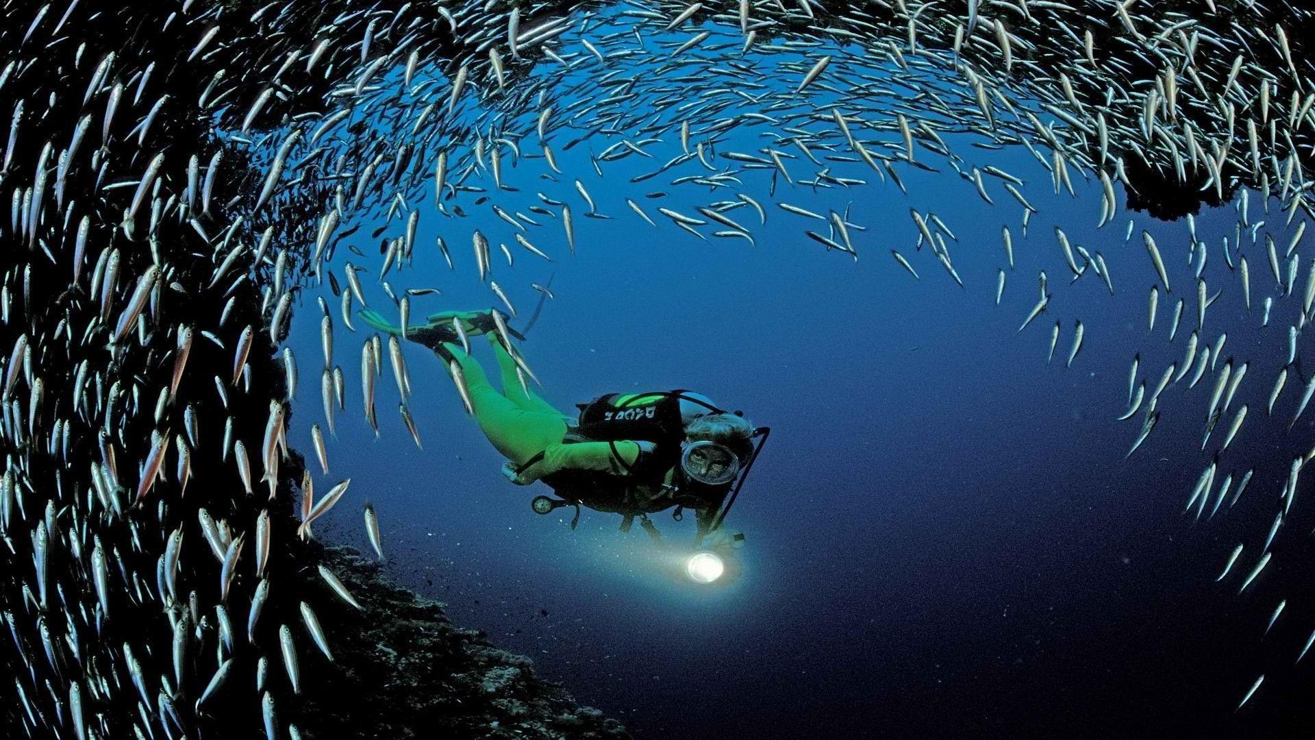image For > Scuba Diving Wallpaper HD
