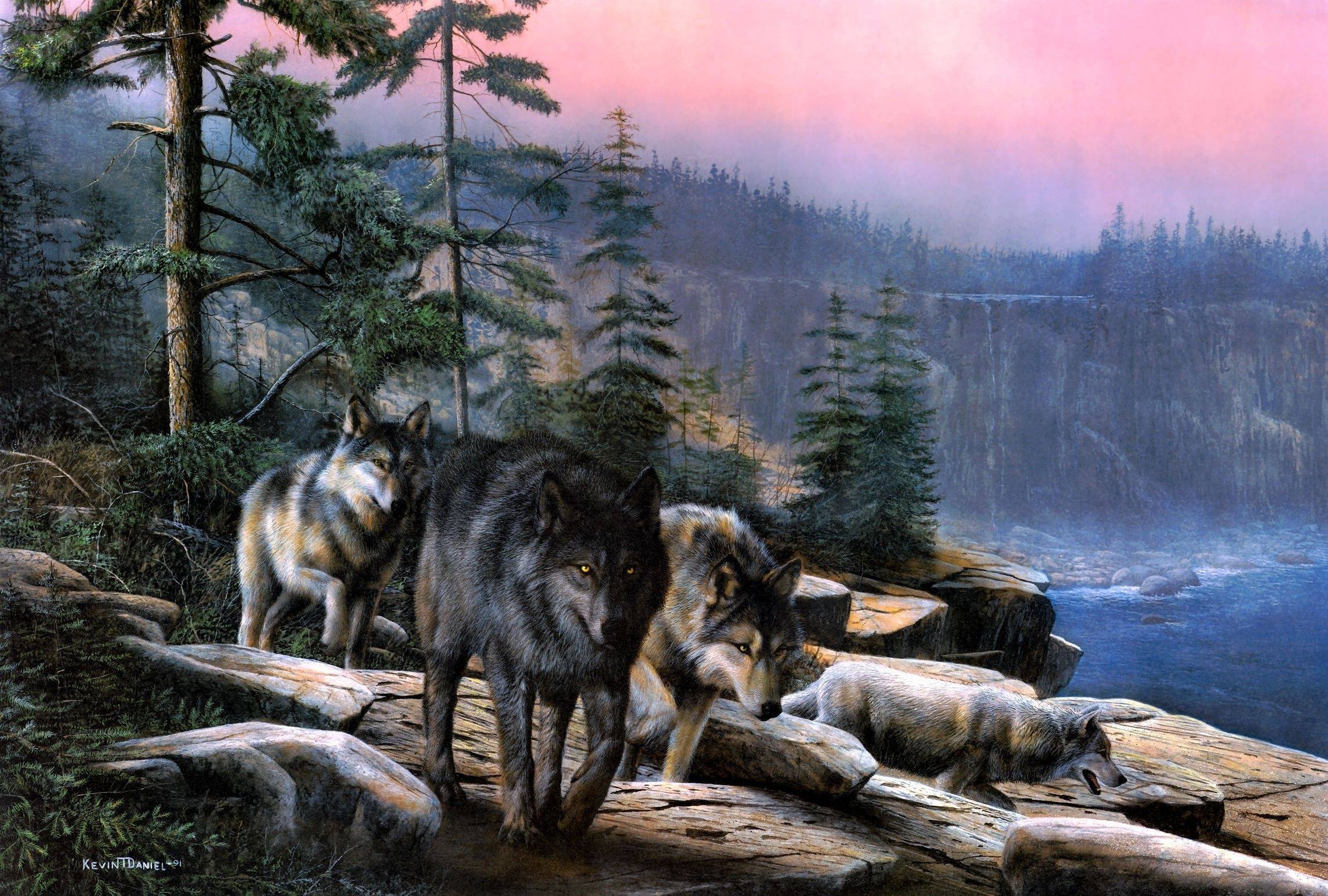 Wallpaper For > Animated Wolf Pack Wallpaper