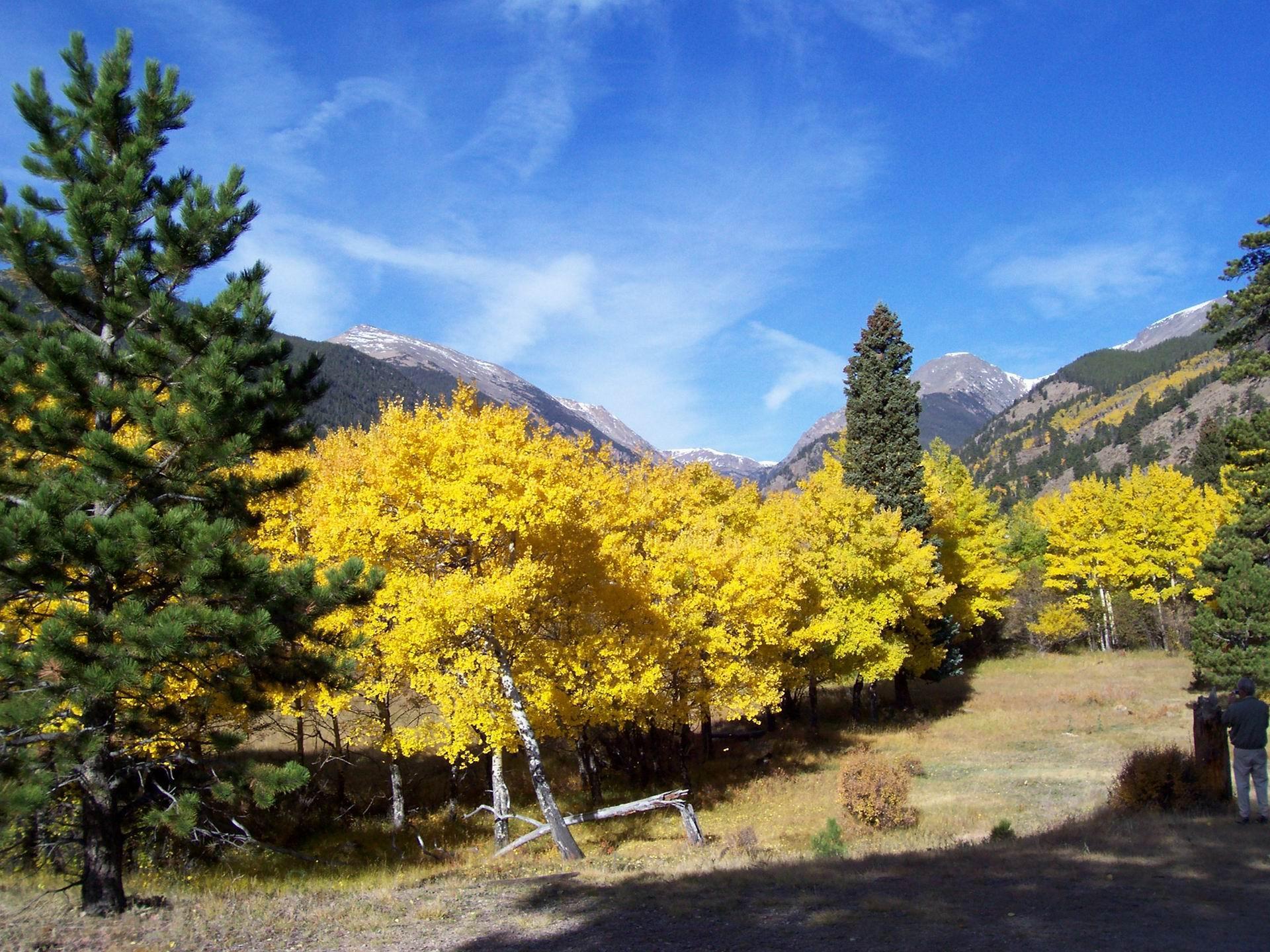 Colorado Fall Colors Rocky Mountain National Park US Travel
