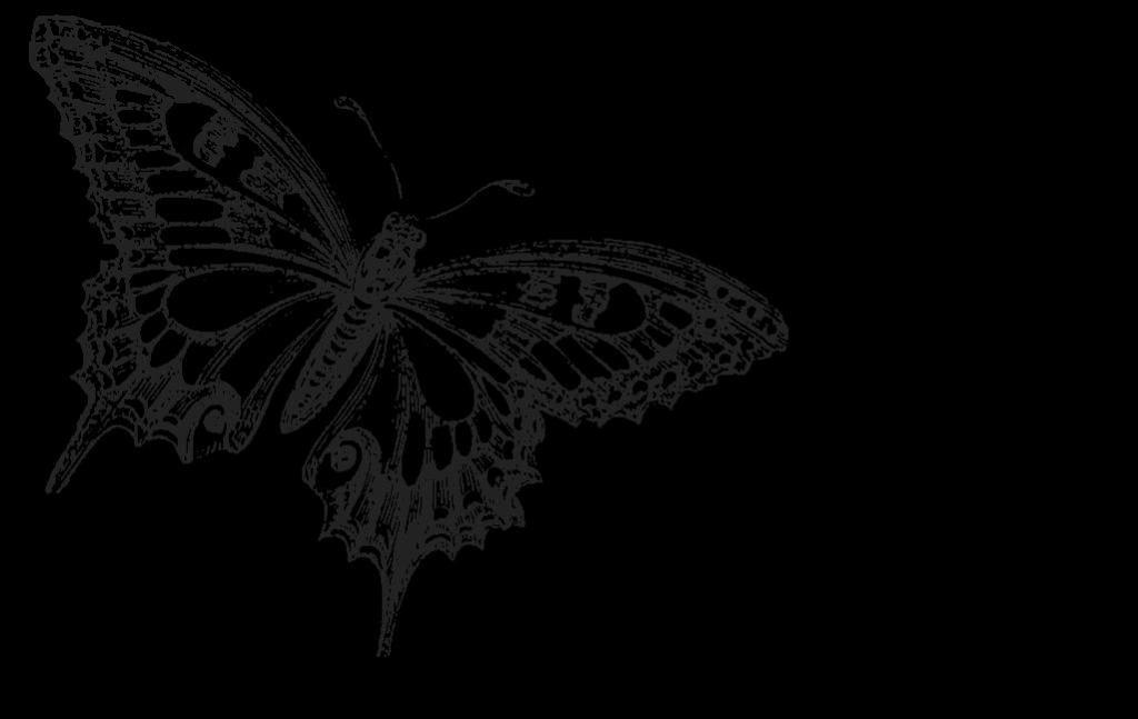 Black Butterfly Background. Download HD Wallpaper