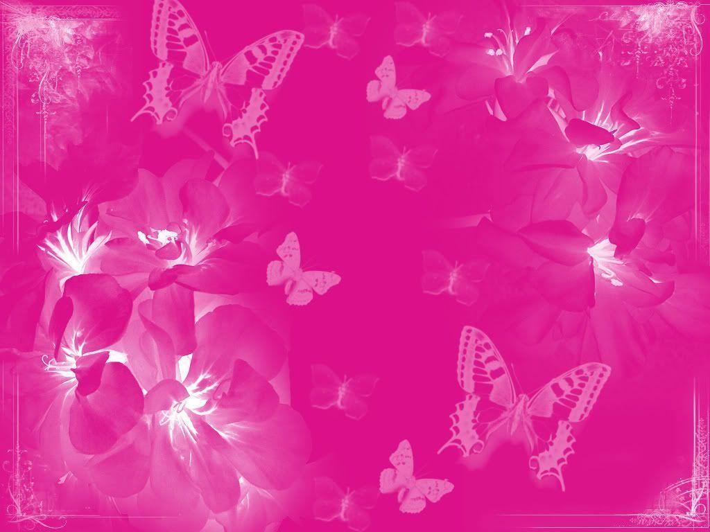 Wallpaper For > Hot Pink Butterfly Background