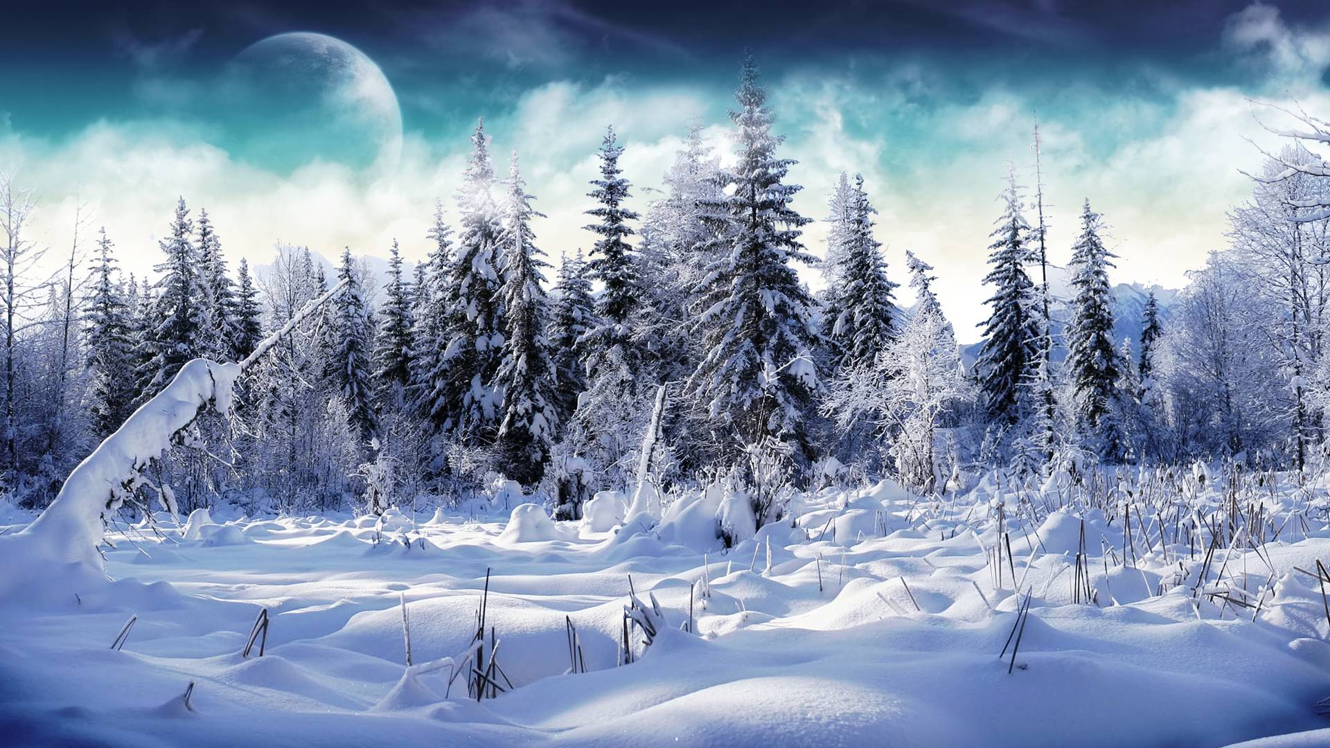 Winter wonderland 2 desktop PC and Mac wallpaper