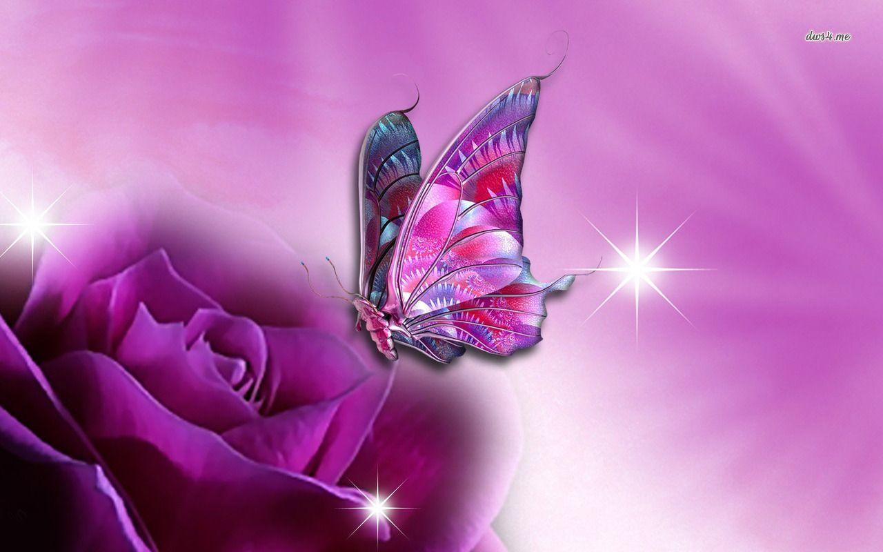 Butterfly on purple rose wallpaper Art wallpaper - #