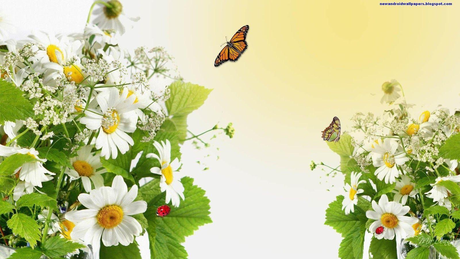 Beatiful Butterflfy On Flowers Wallpaper 2013 HD For Android