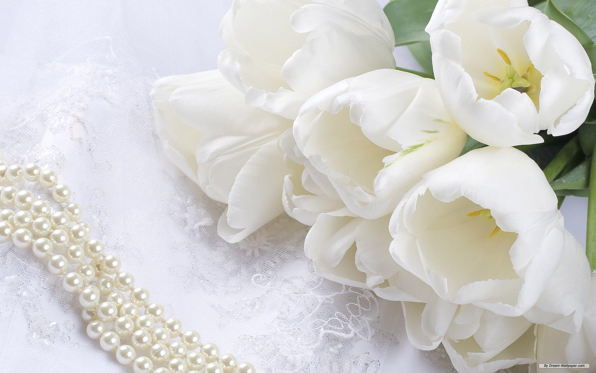 Fascinating Wedding White Luxury Flowers 1920x1200PX Wedding