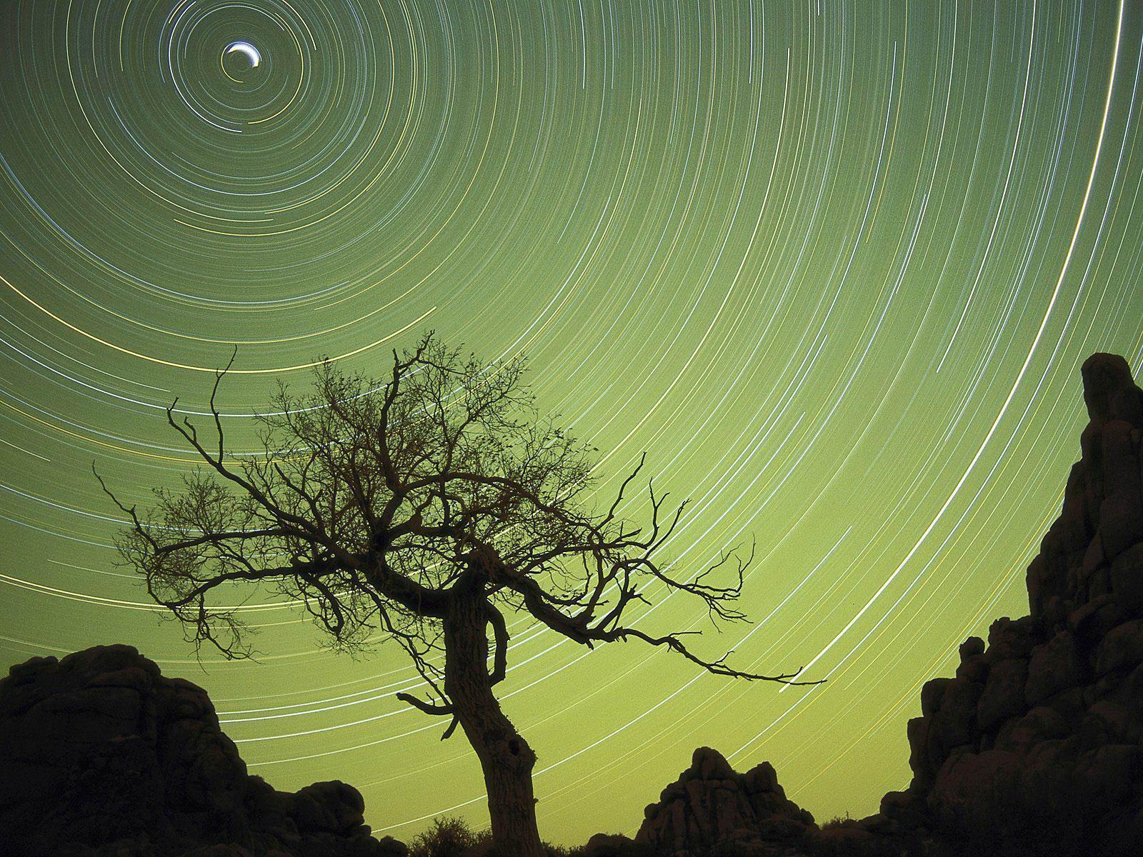 Star trails mongolia free desktop background wallpaper image