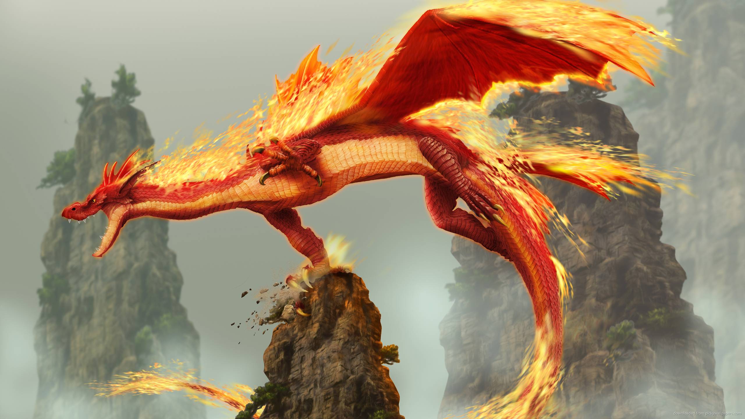 Download 2560x1440 Fire Dragon Wallpaper