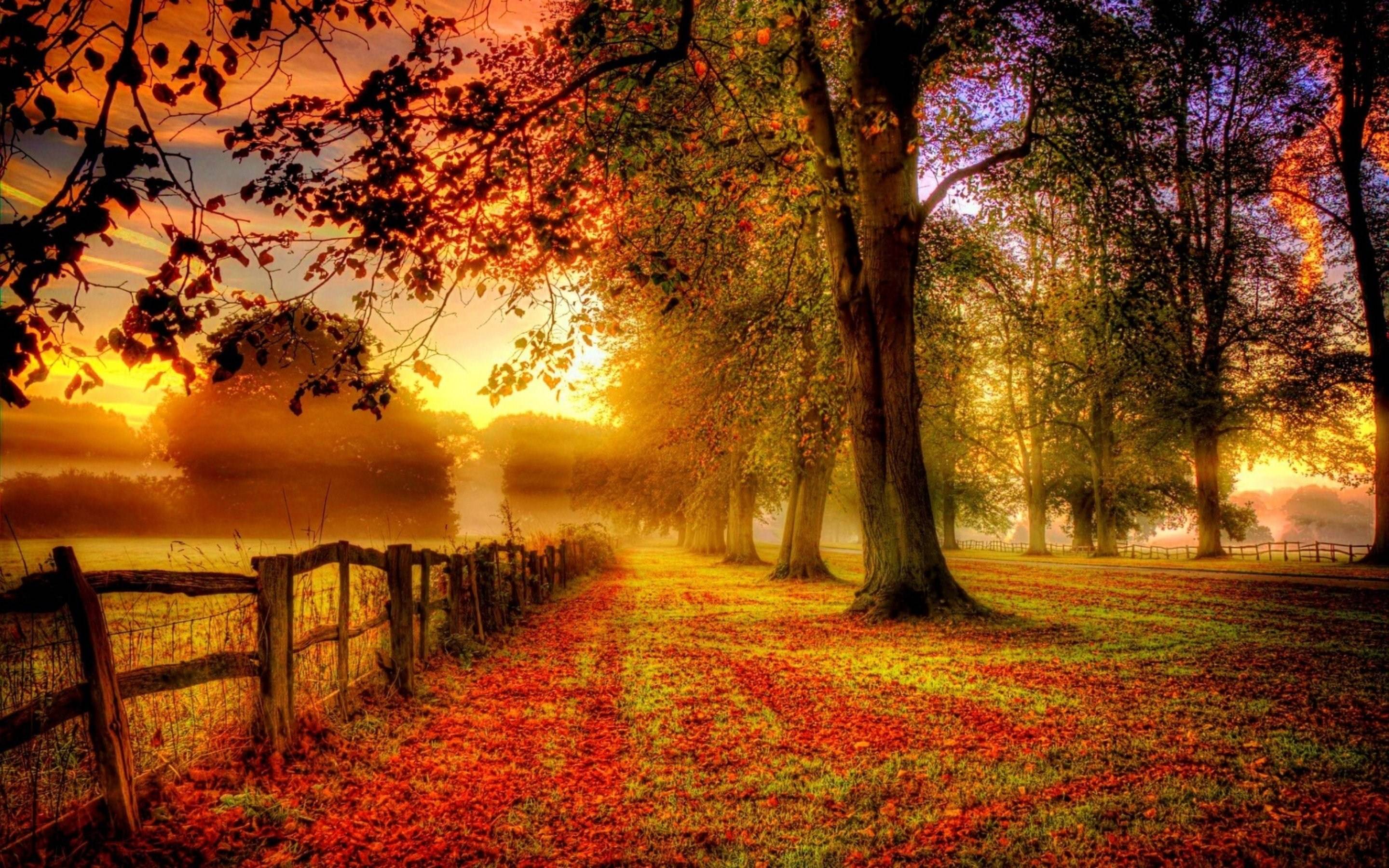 pictureque landscape colorful fall fog morning wide HD wallpaper