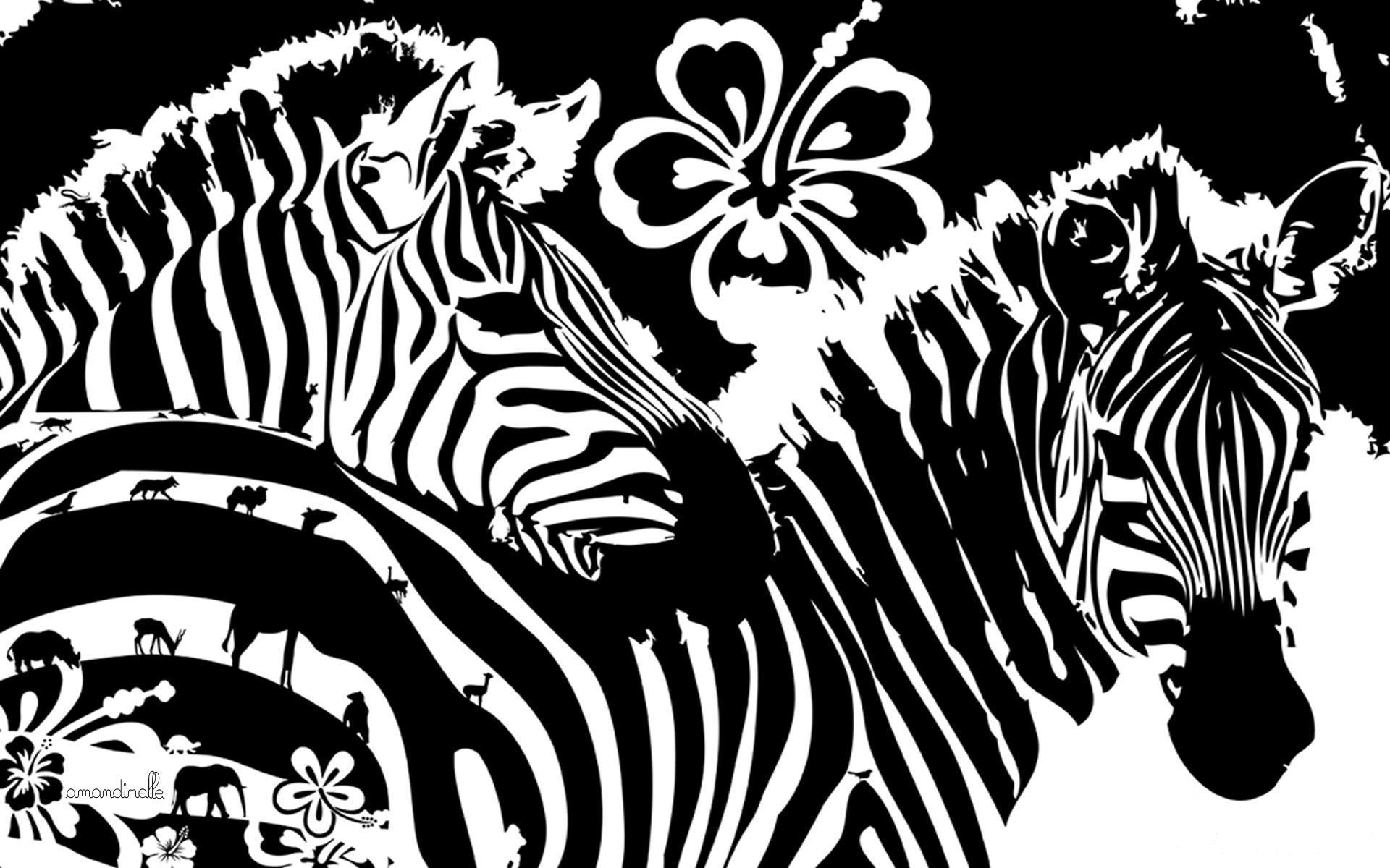 image For > Cute Zebra Background
