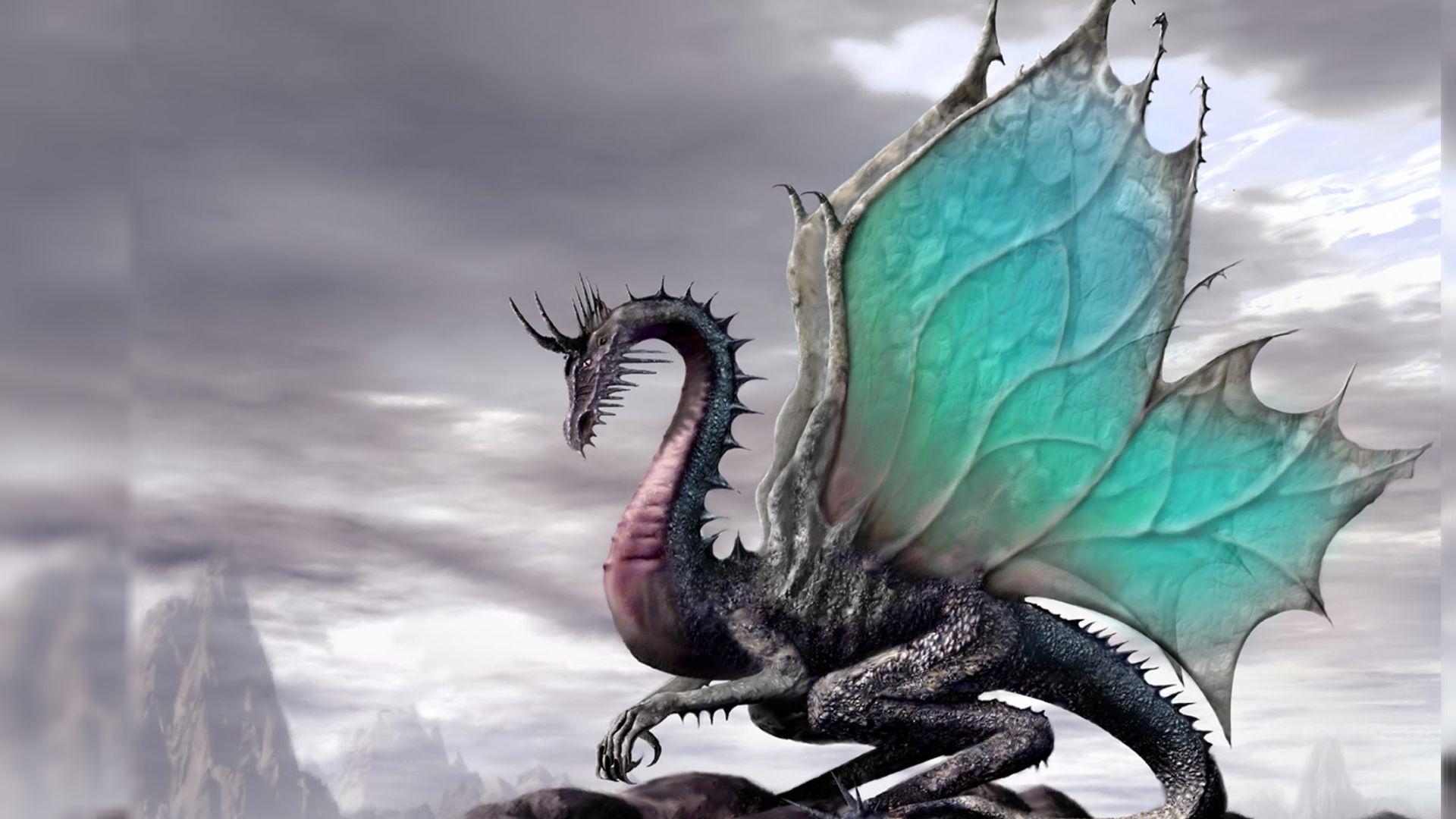 Dragon Wallpaper Border Fantasy Dragon Desktop