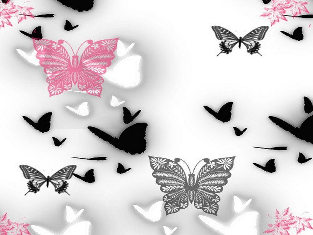 Pink n Black butterflies, Desktop and mobile wallpaper