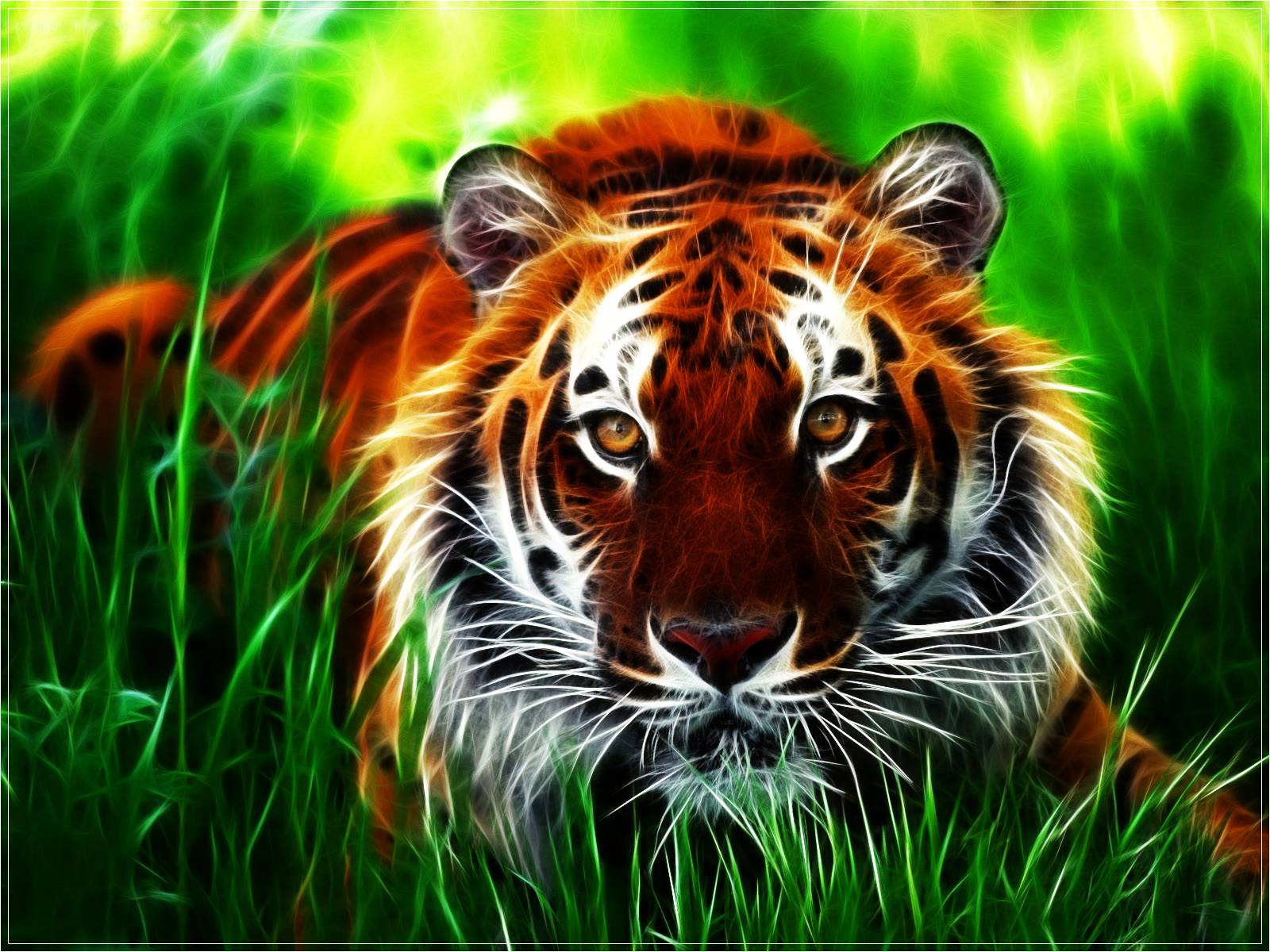 Cool Tiger Wallpaper For Background And Wallpaper