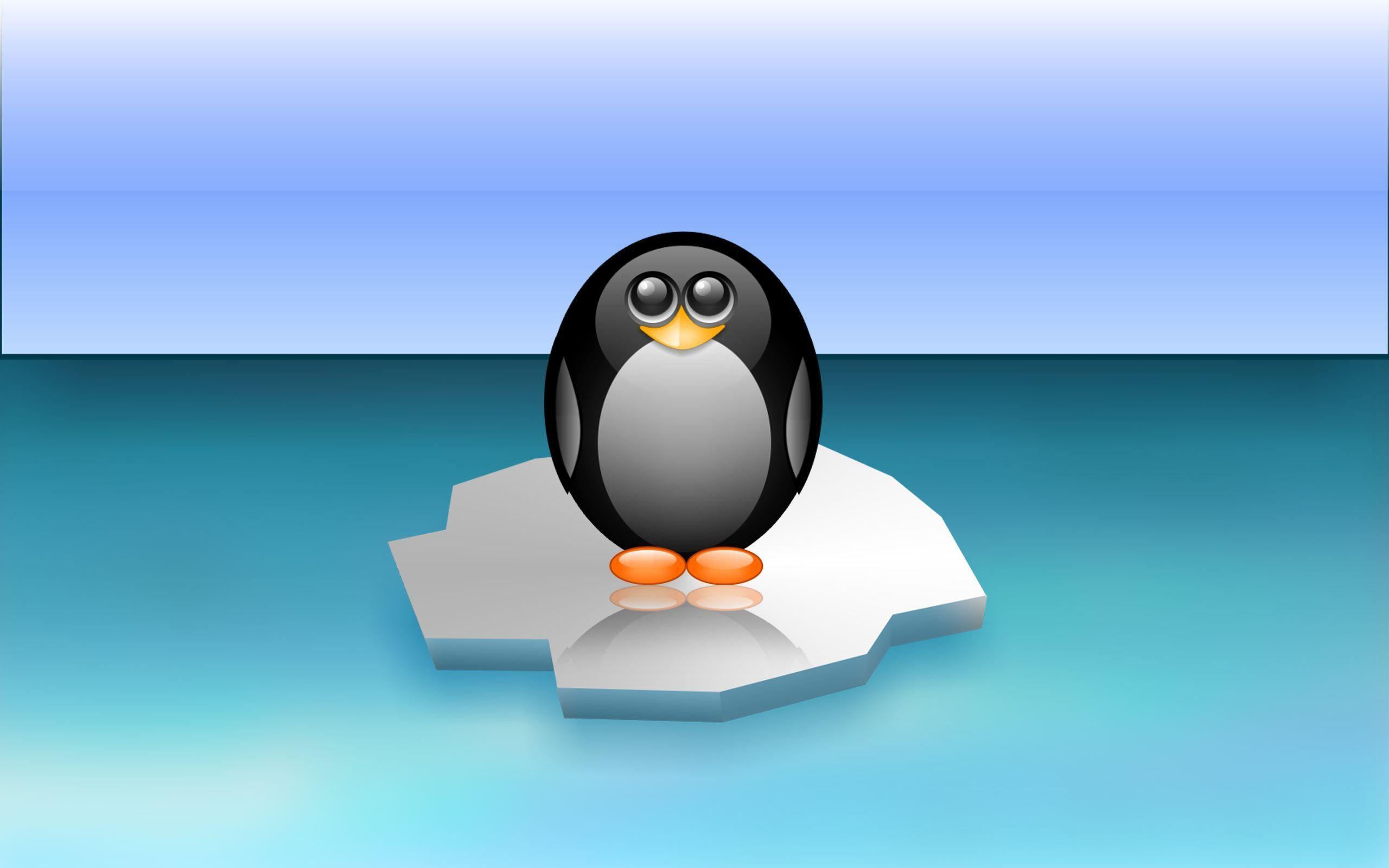 Wallpaper For > Penguin Desktop Wallpaper