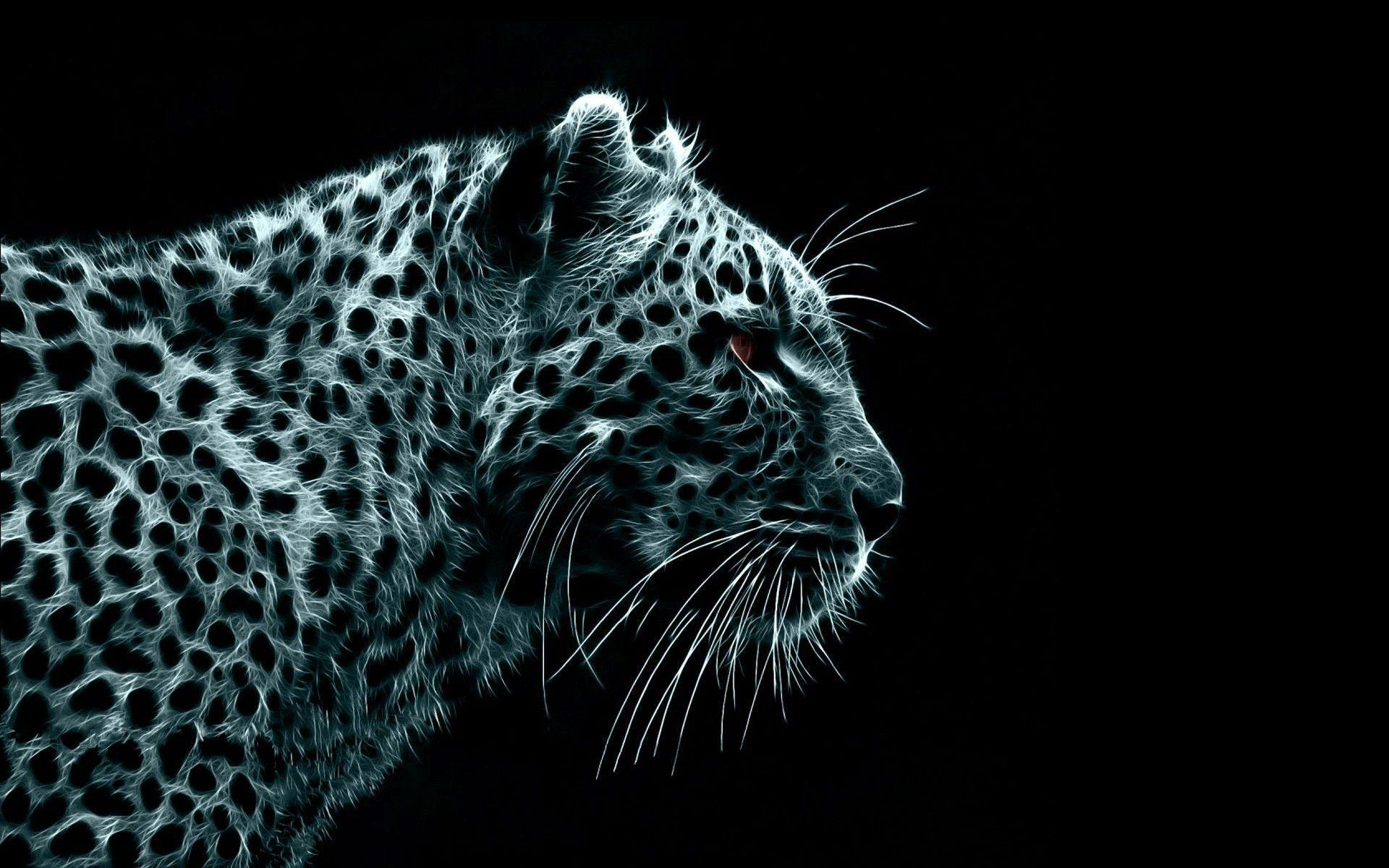 Leopards HD Wallpaper Wallpaper Inn
