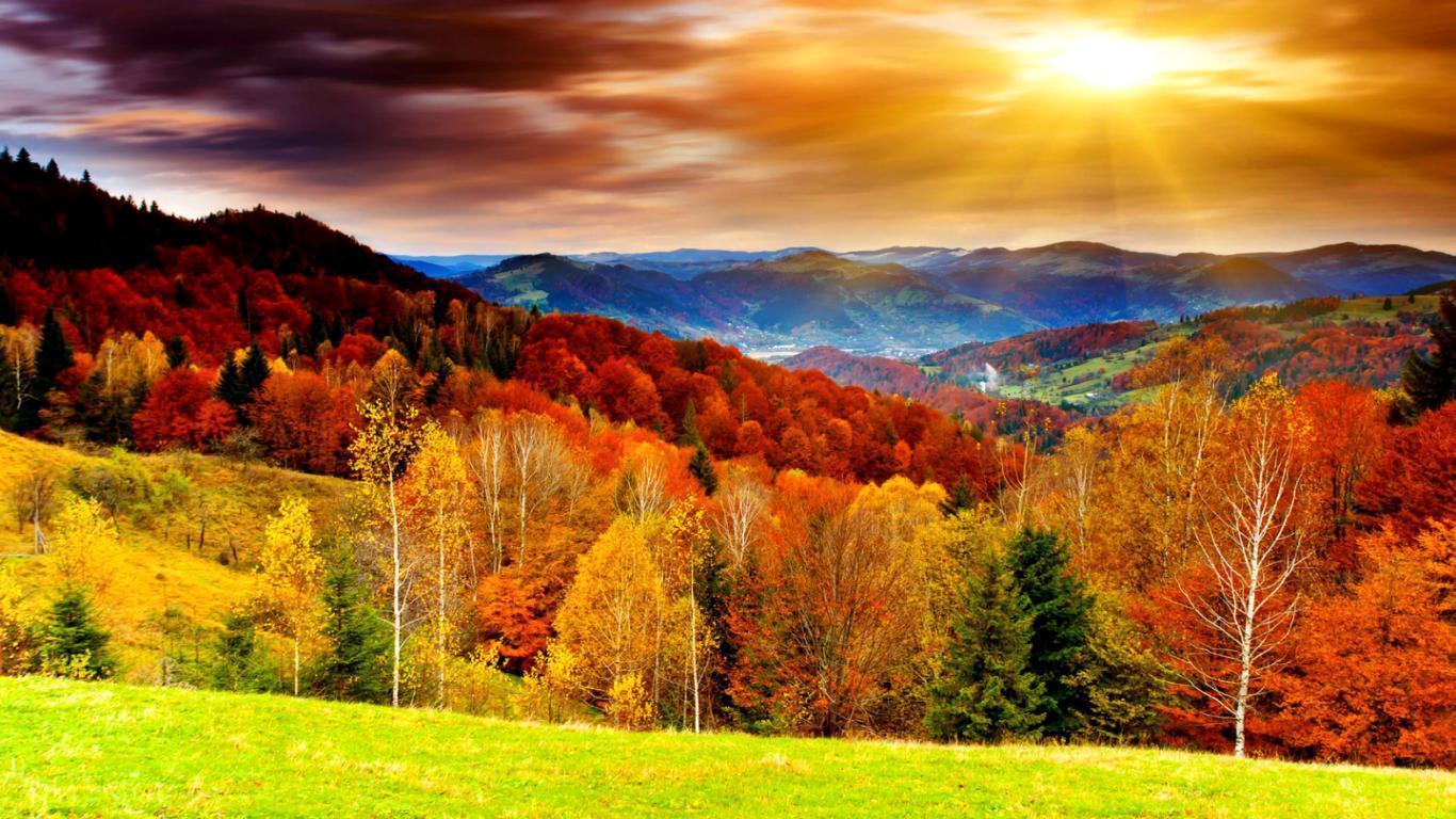 Download Awesome Bright Autumn Scenery Wallpaper. Full HD Wallpaper