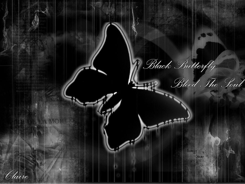 Black Butterfly Wallpaper and Background
