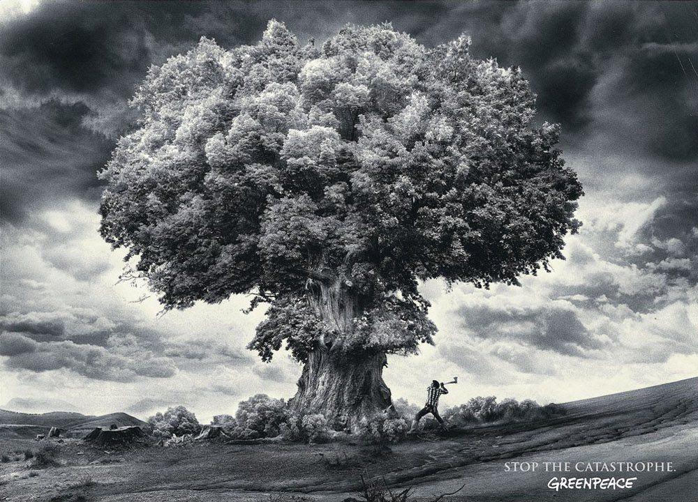 Gallery For > Nuclear Bomb Wallpaper