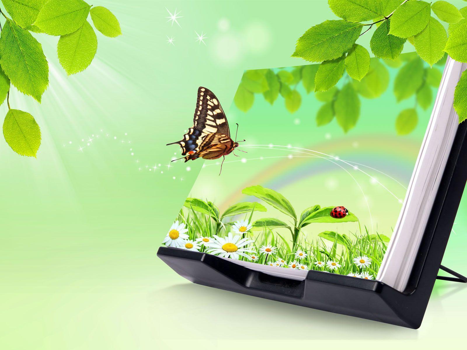 Wallpaper 3D Butterfly And Picture