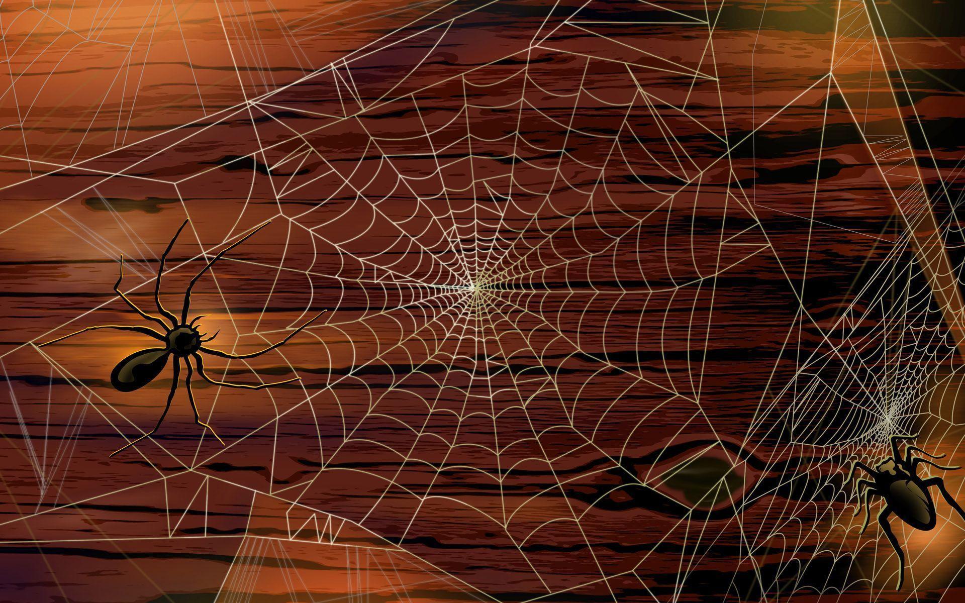 Free Web With Spiders Wallpaper, Free Web With Spiders HD