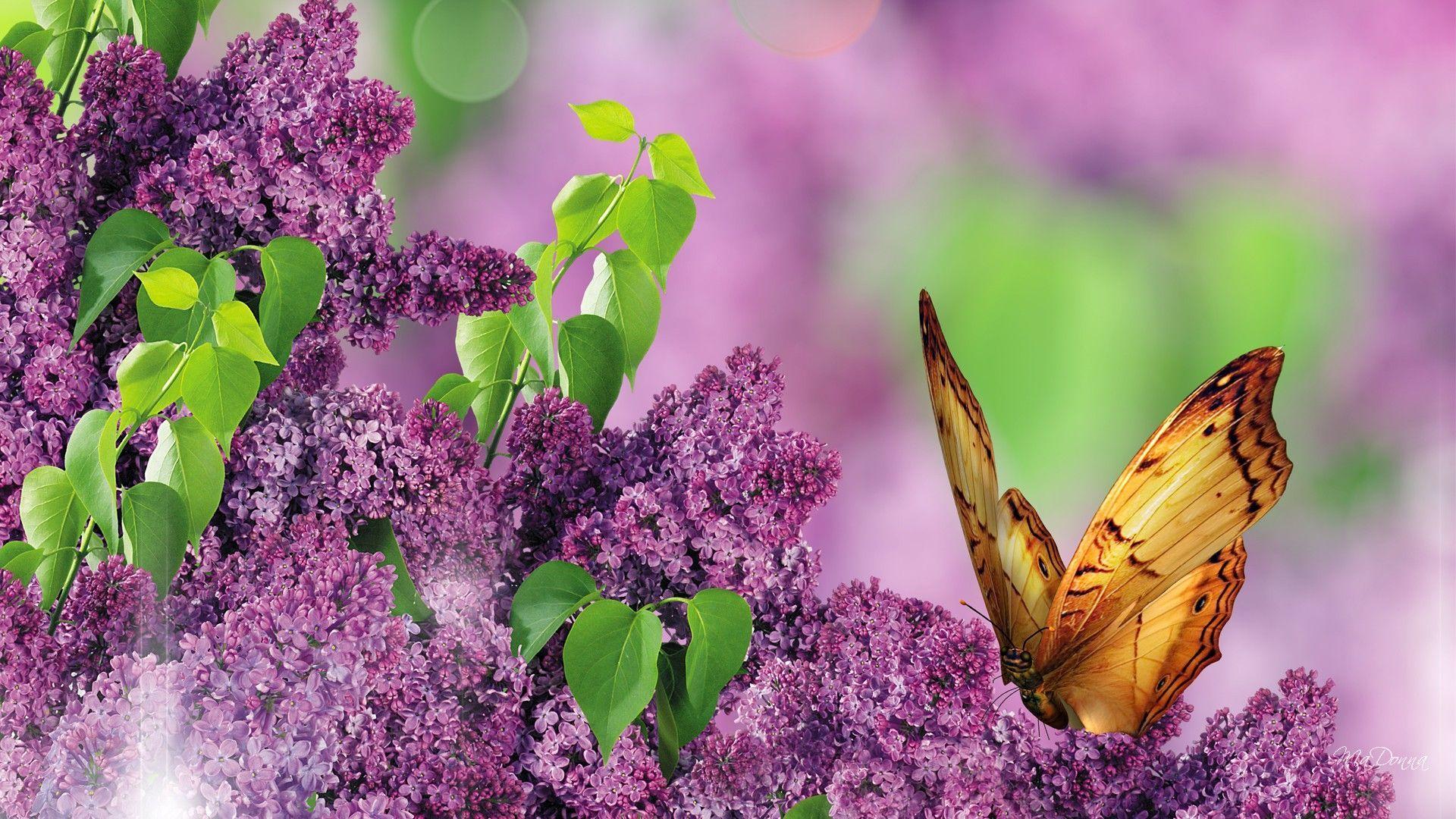 Beauty Butterfly In Spring Garden Online. Amazing