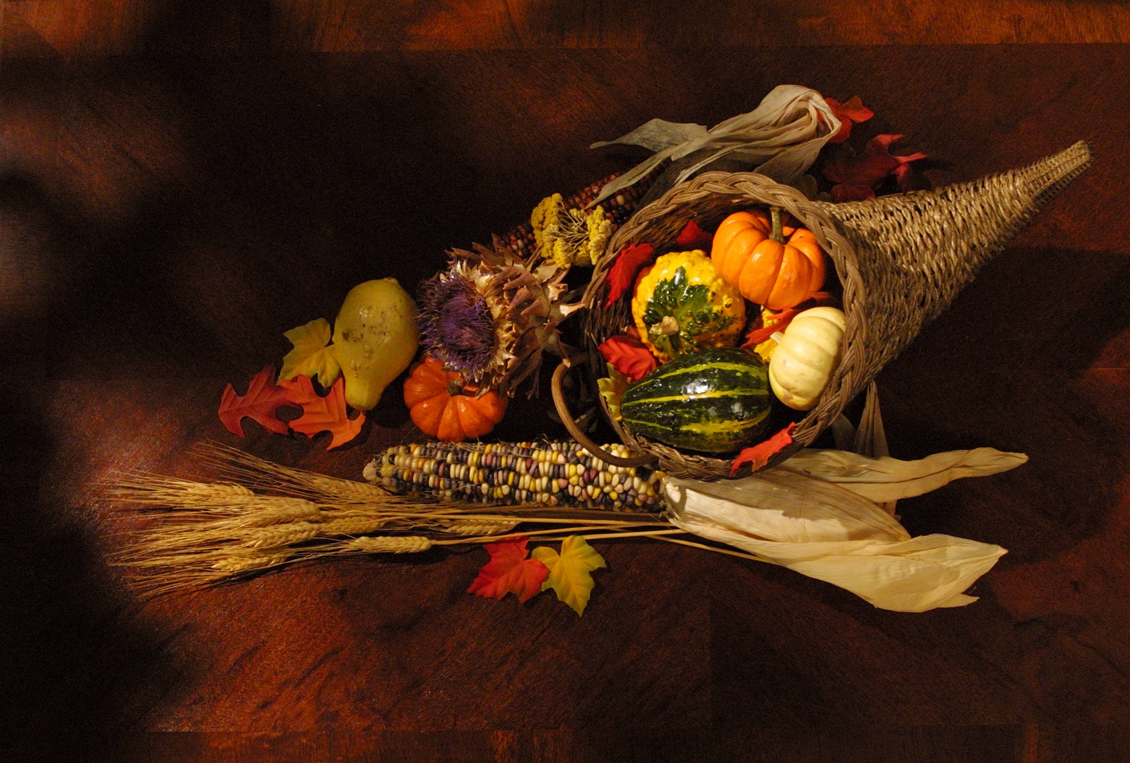 Thanksgiving Cornucopia Pumpkins Fall Happy HD wallpaper #
