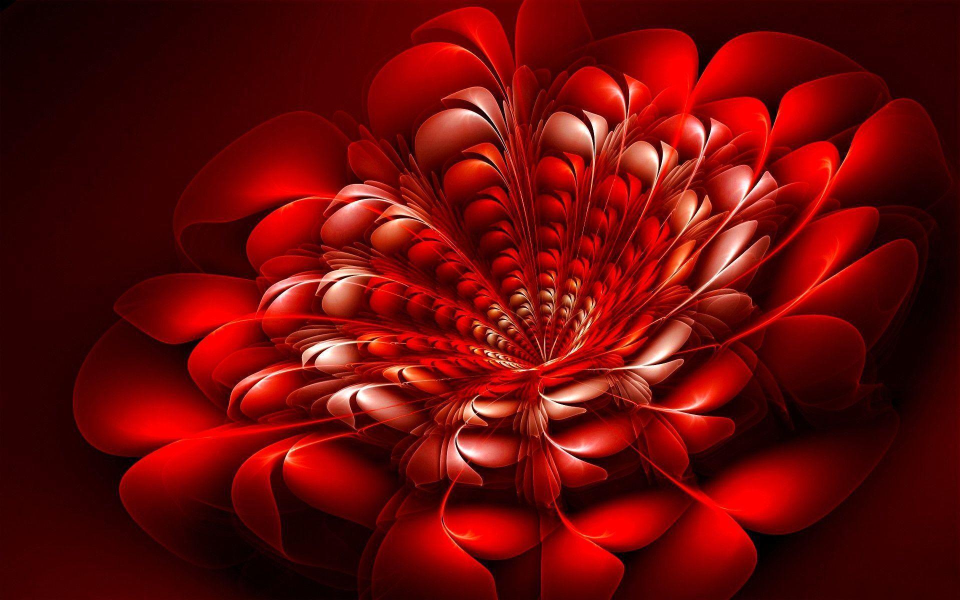 Red Flower Abstract Wallpaper